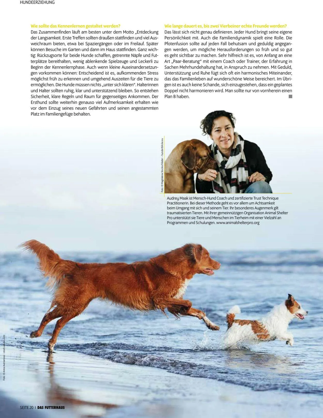 Futterhaus Aktueller Prospekt von 1. Dezember bis 31. Dezember 2025 - Prospekt seite 20