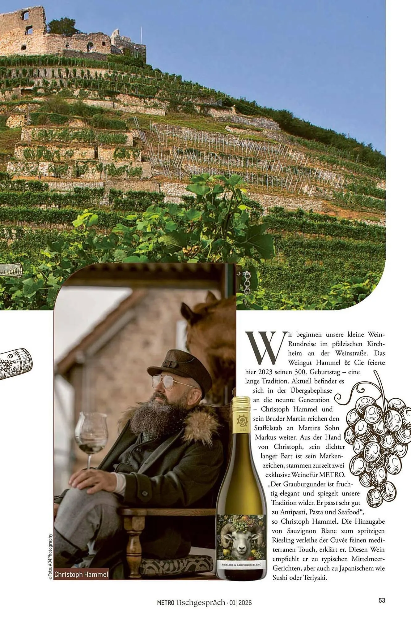 METRO Prospekt von 1. Februar bis 28. Februar 2026 - Prospekt seite 53