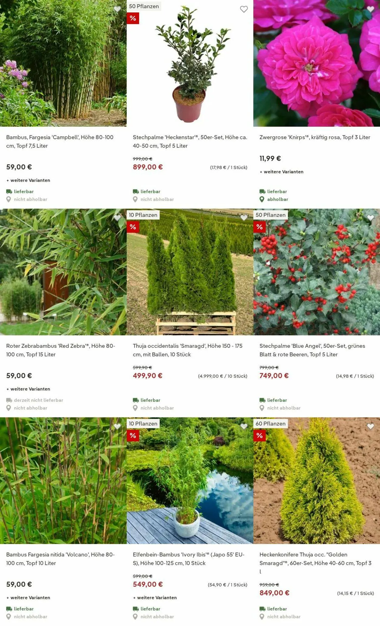 Pflanzen-Kölle Aktueller Prospekt von 15. Dezember bis 24. Dezember 2025 - Prospekt seite 5