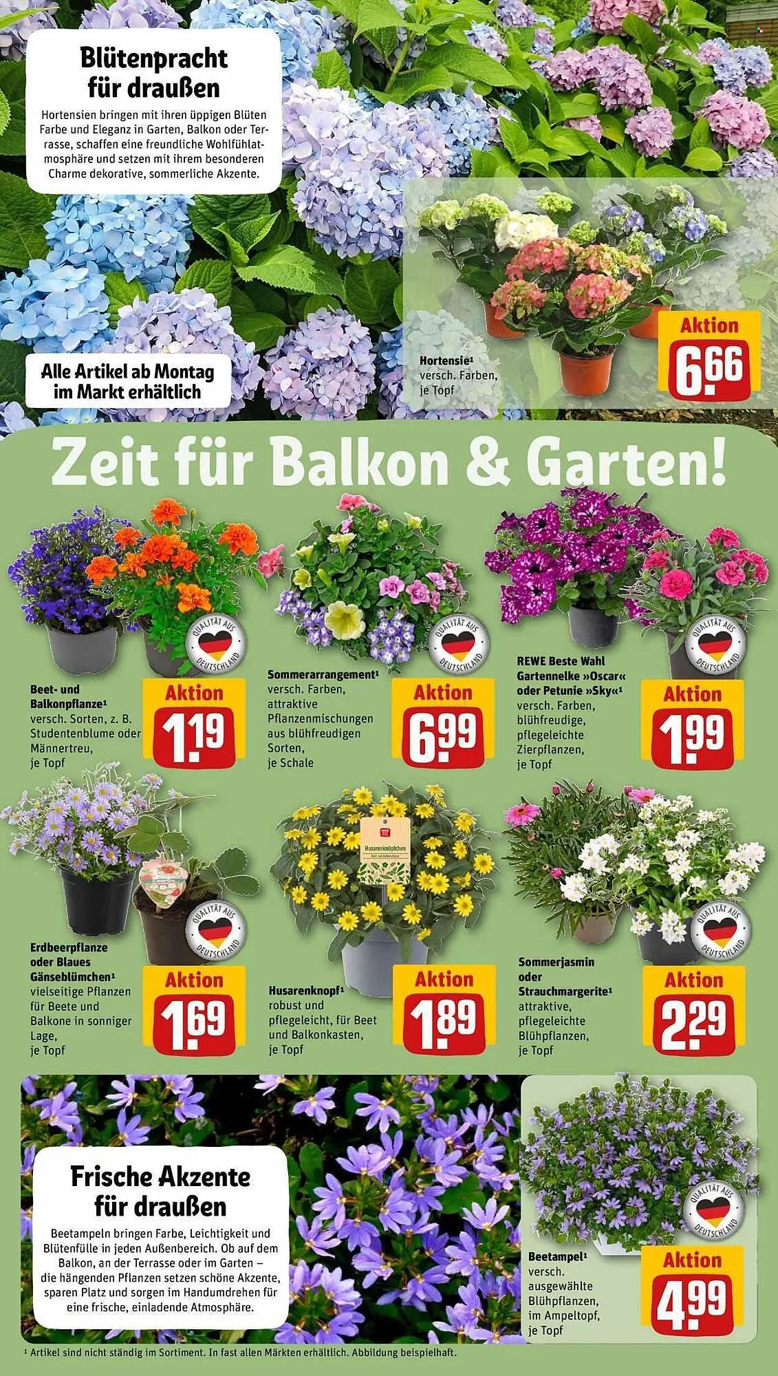 REWE Prospekt von 11. Mai bis 17. Mai 2026 - Prospekt seite 6