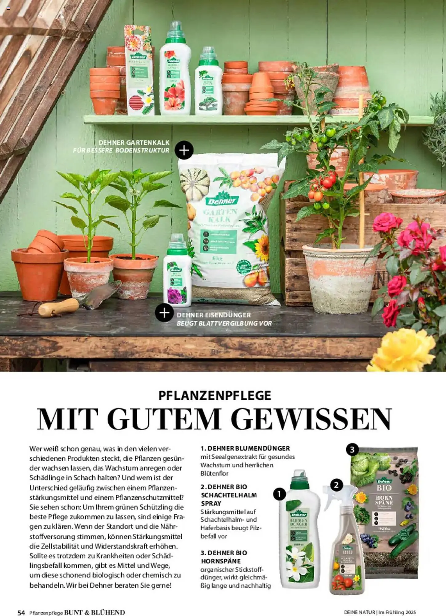 Dehner Prospekt von 6. März bis 9. Juni 2025 - Prospekt seite 54