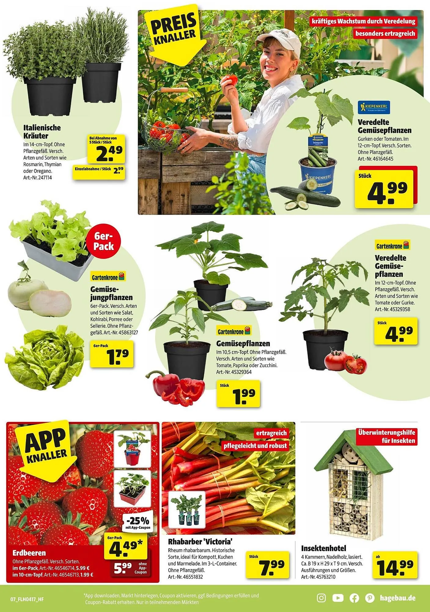 Hagebau Prospekt von 18. April bis 25. April 2026 - Prospekt seite 7