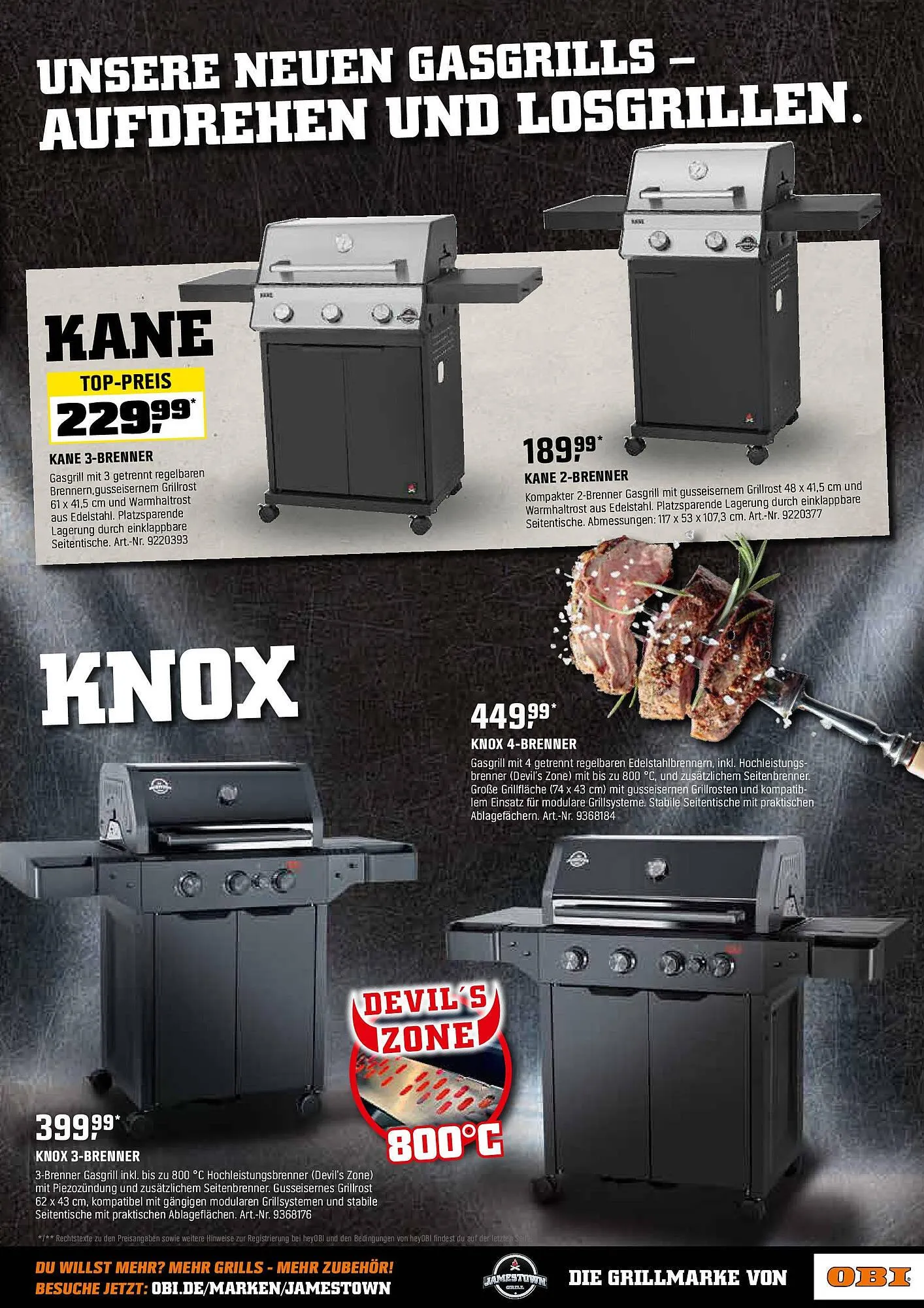 OBI Prospekt von 14. März bis 31. März 2025 - Prospekt seite 13