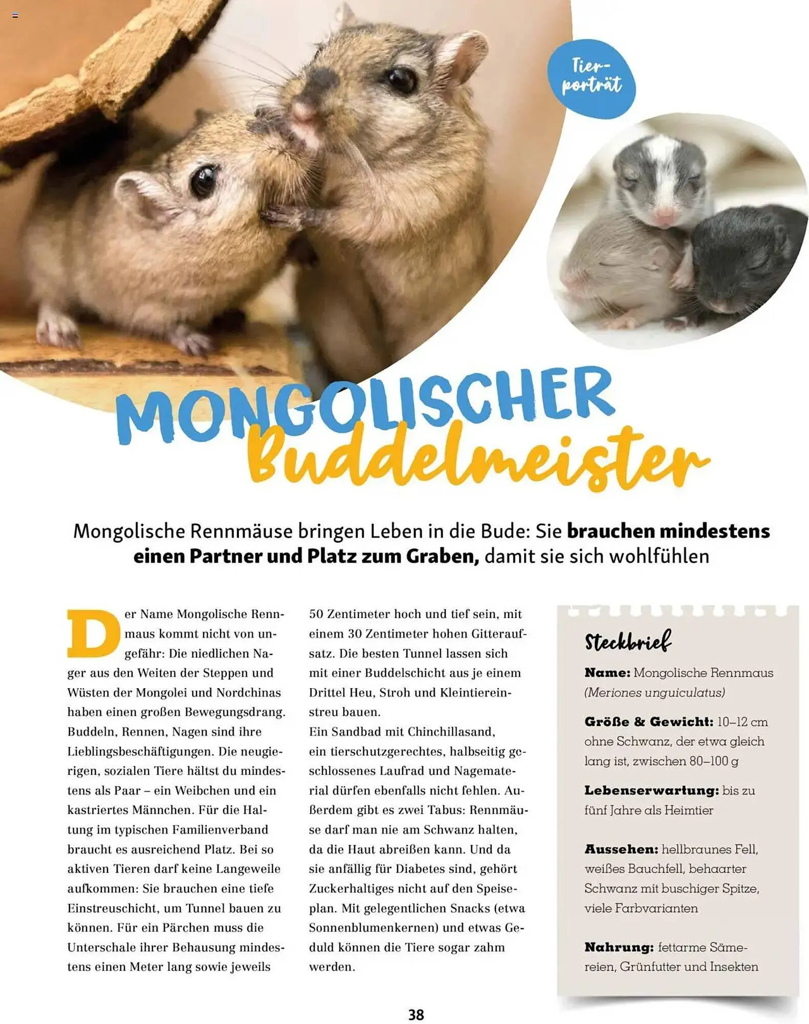 Fressnapf Magazin von 1. September bis 31. Oktober 2025 - Prospekt seite 38