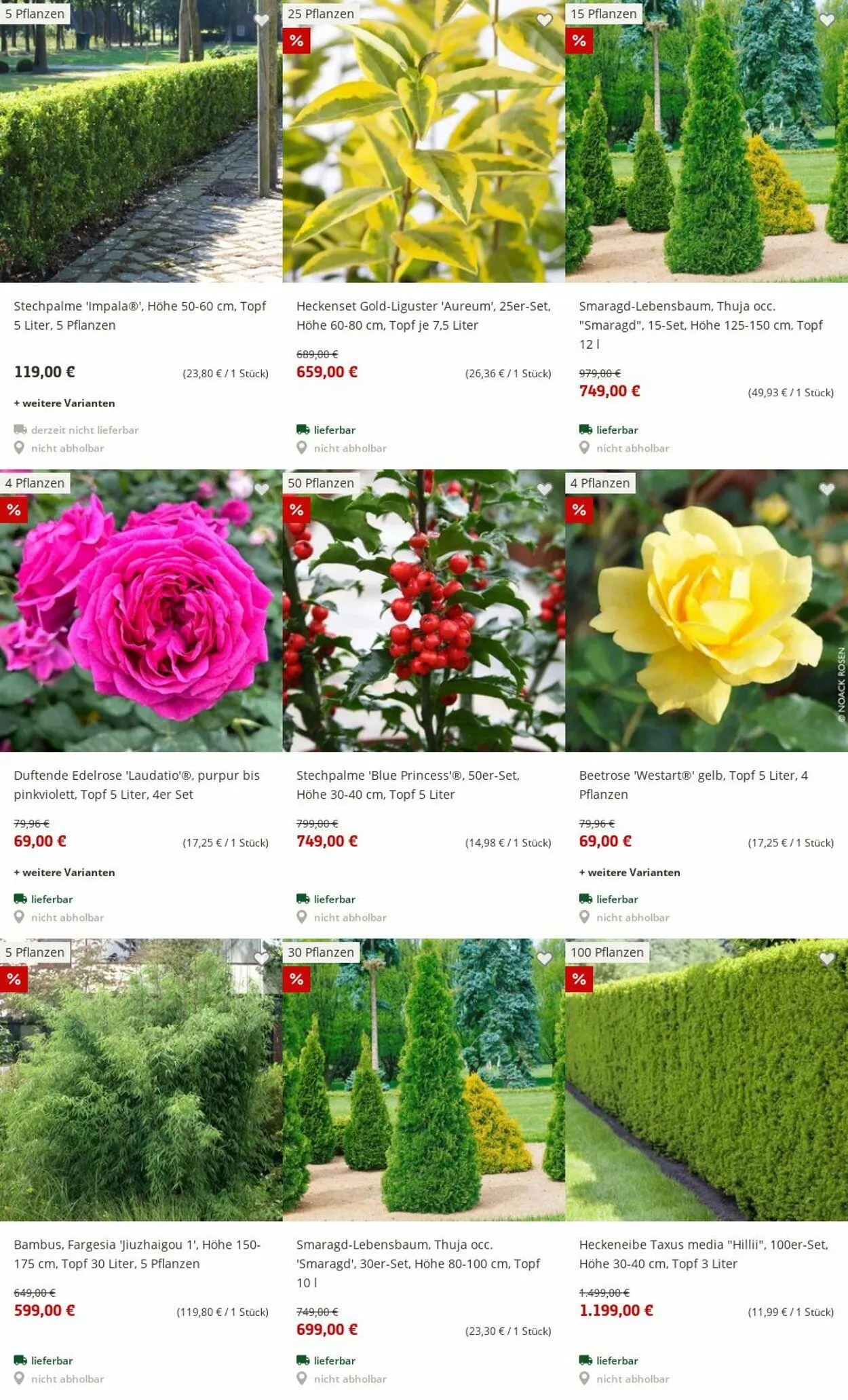 Pflanzen-Kölle Aktueller Prospekt von 30. Juni bis 9. Juli 2025 - Prospekt seite 73