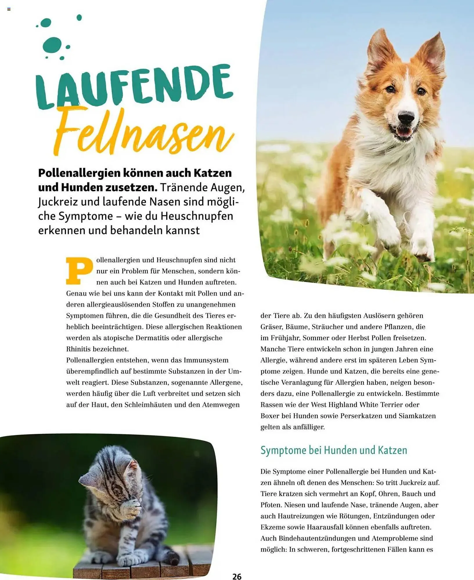 Fressnapf Prospekt von 1. März bis 30. April 2025 - Prospekt seite 26