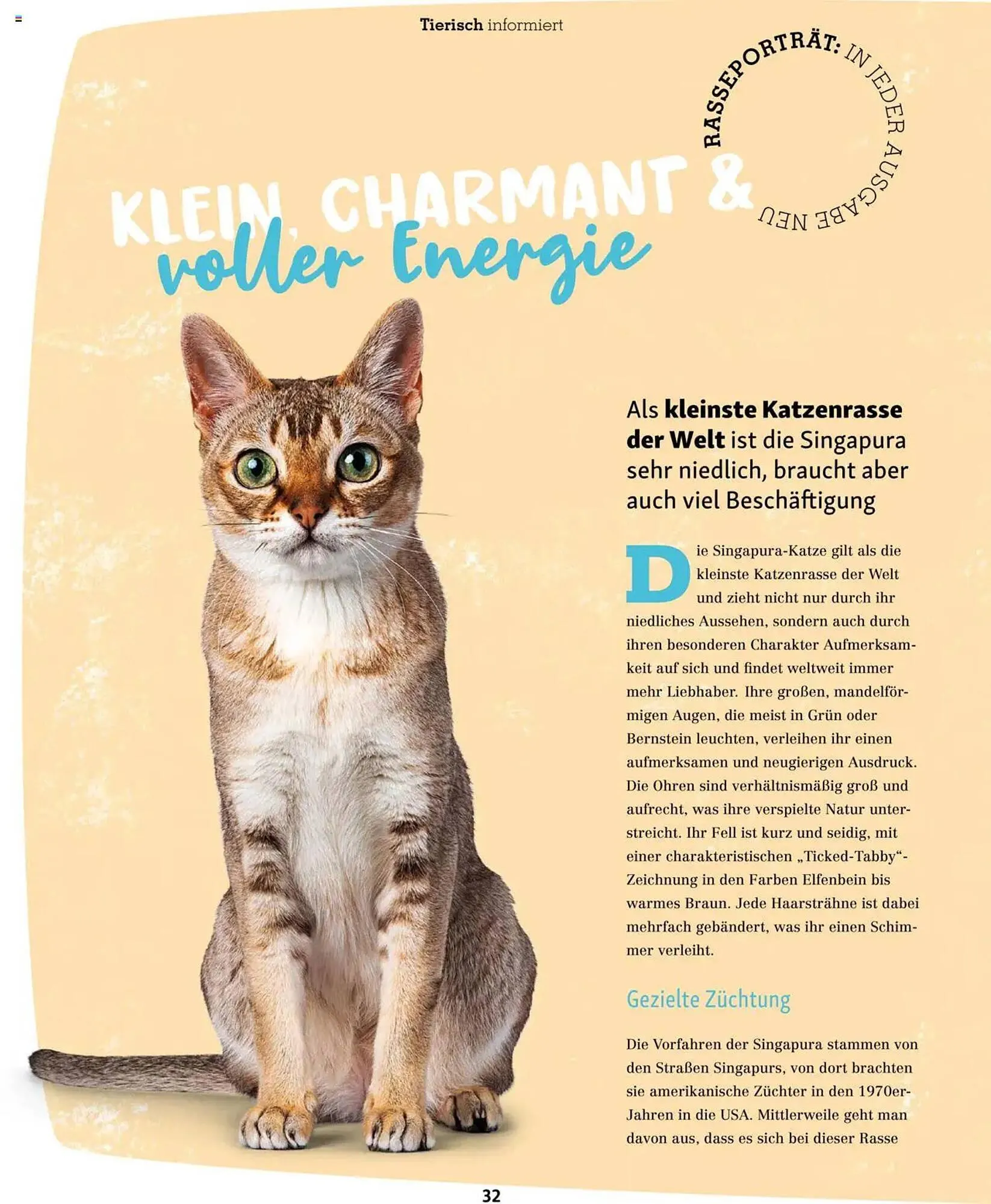 Fressnapf Prospekt von 1. März bis 30. April 2025 - Prospekt seite 32