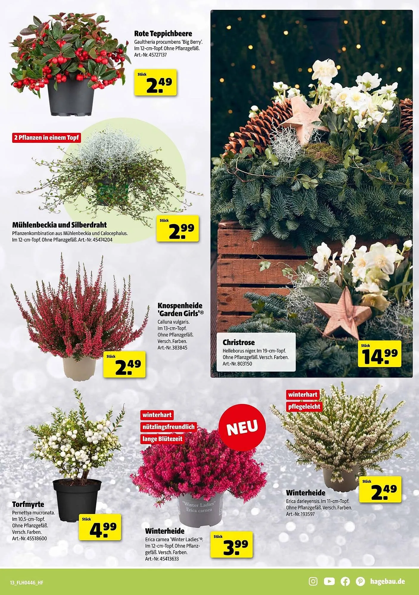 Hagebau Prospekt von 8. November bis 15. November 2025 - Prospekt seite 13