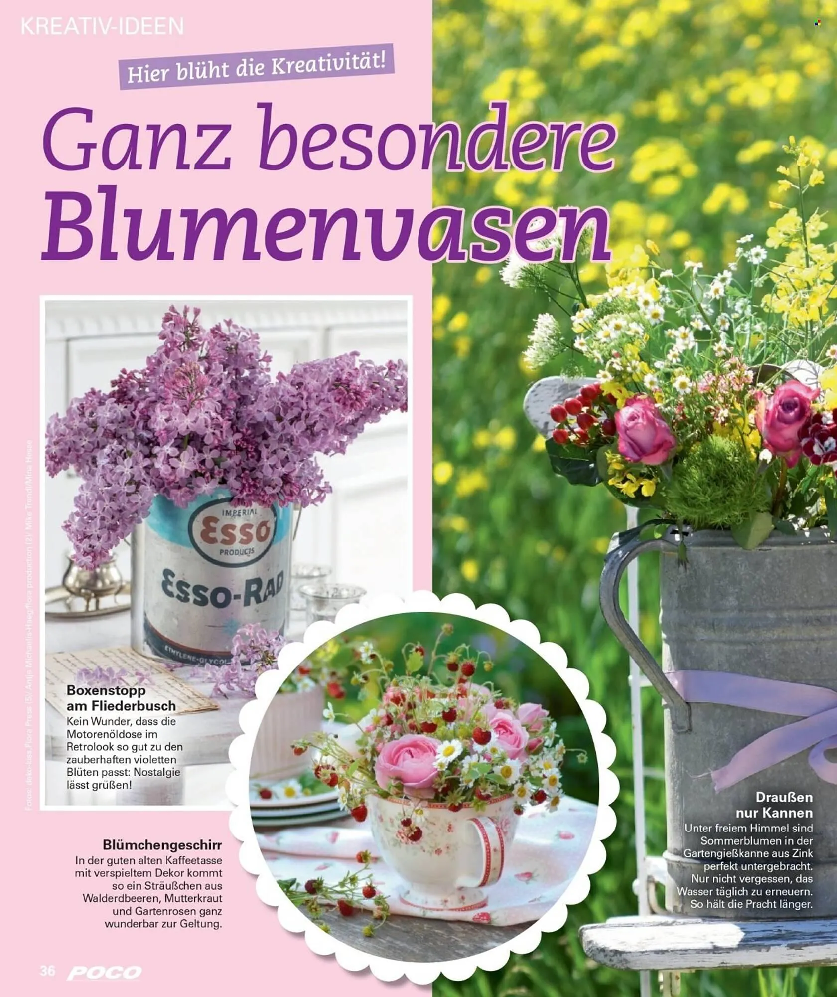 Poco Prospekt von 28. April bis 22. Juni 2025 - Prospekt seite 36