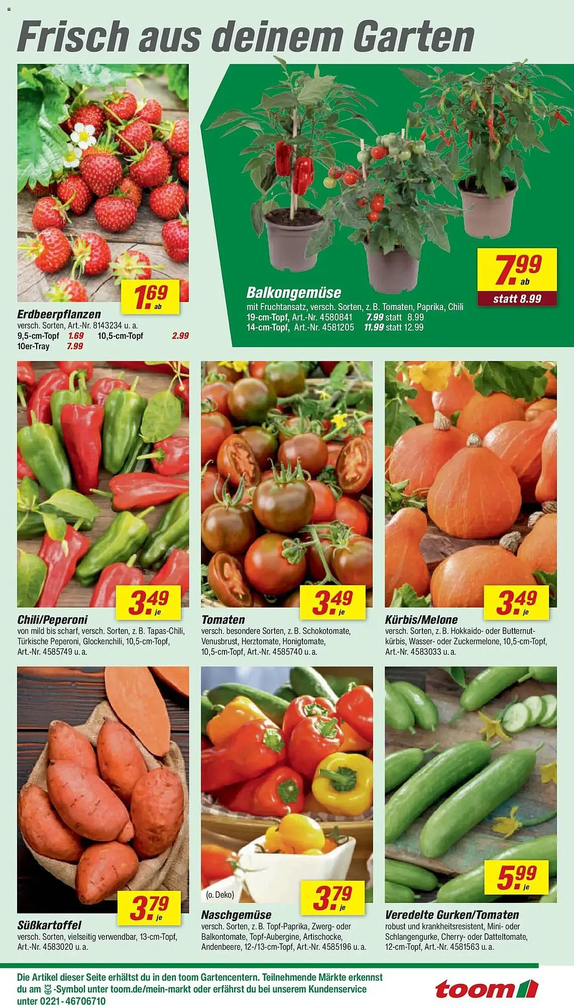 Toom Baumarkt Prospekt von 2. Mai bis 8. Mai 2026 - Prospekt seite 5