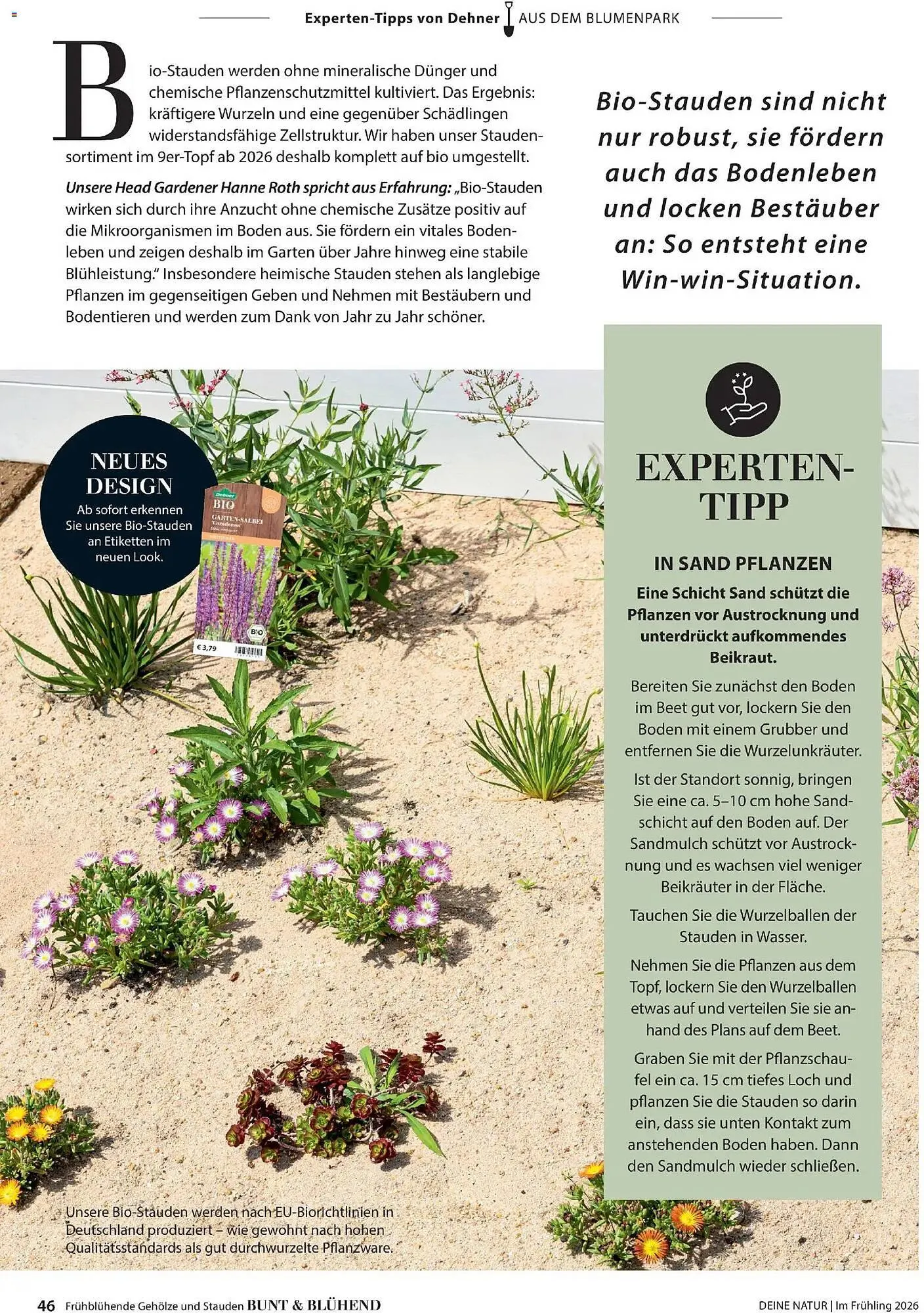 Dehner Prospekt von 4. März bis 31. Mai 2026 - Prospekt seite 46