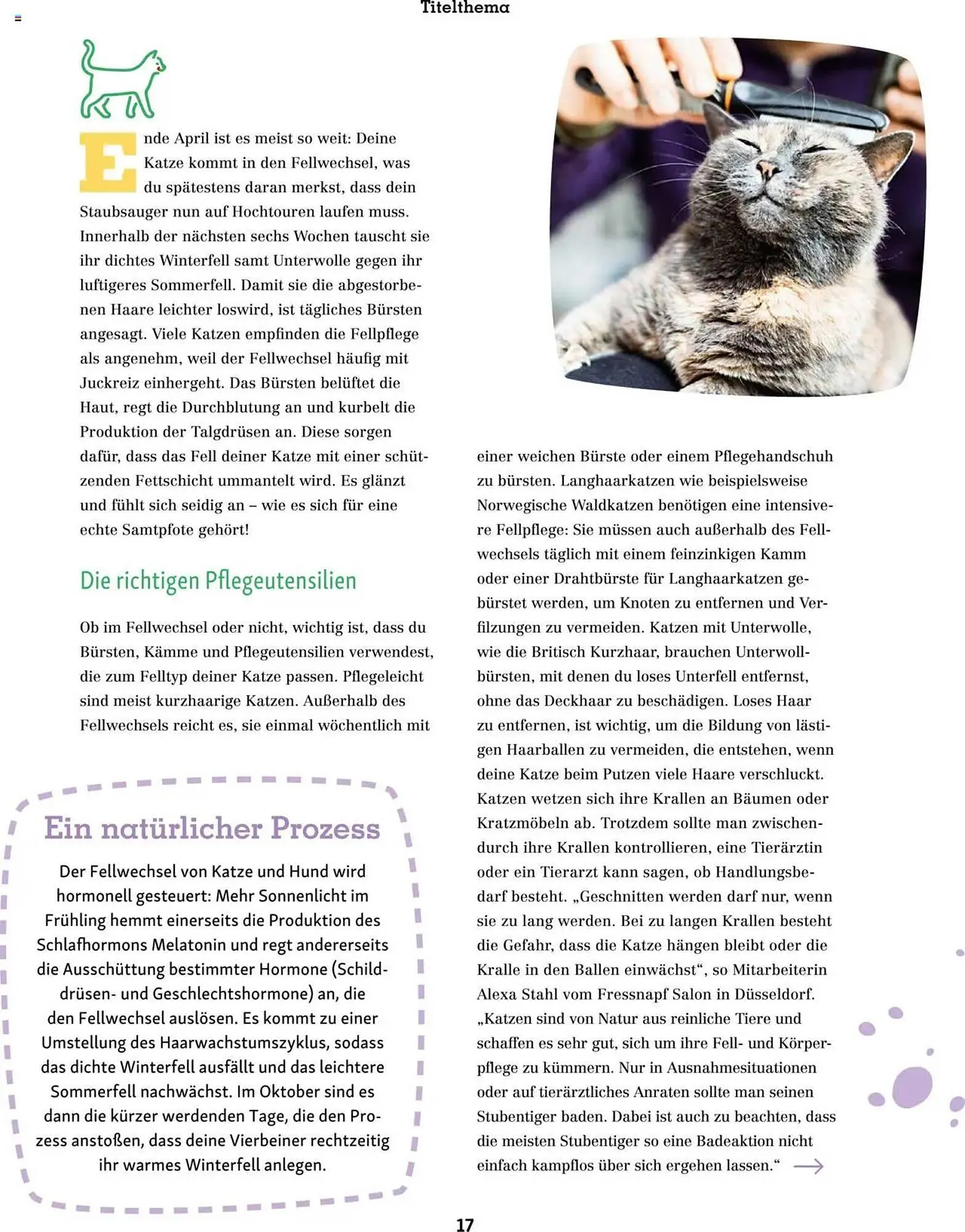 Fressnapf Prospekt von 1. März bis 2. Mai 2025 - Prospekt seite 17