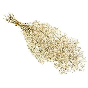 Schleierkraut, natur, 55 cm