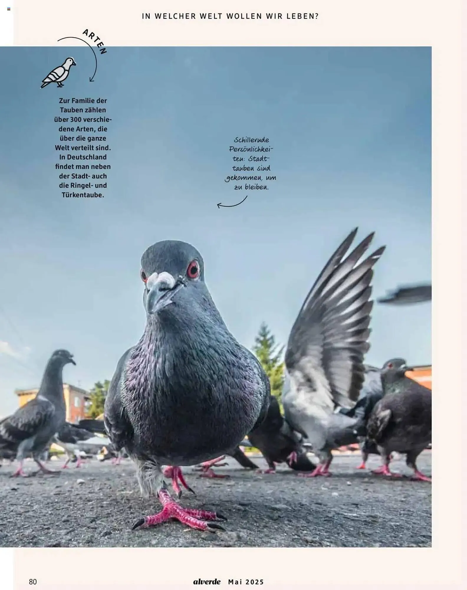 dm drogerie Prospekt von 1. Mai bis 31. Mai 2025 - Prospekt seite 80