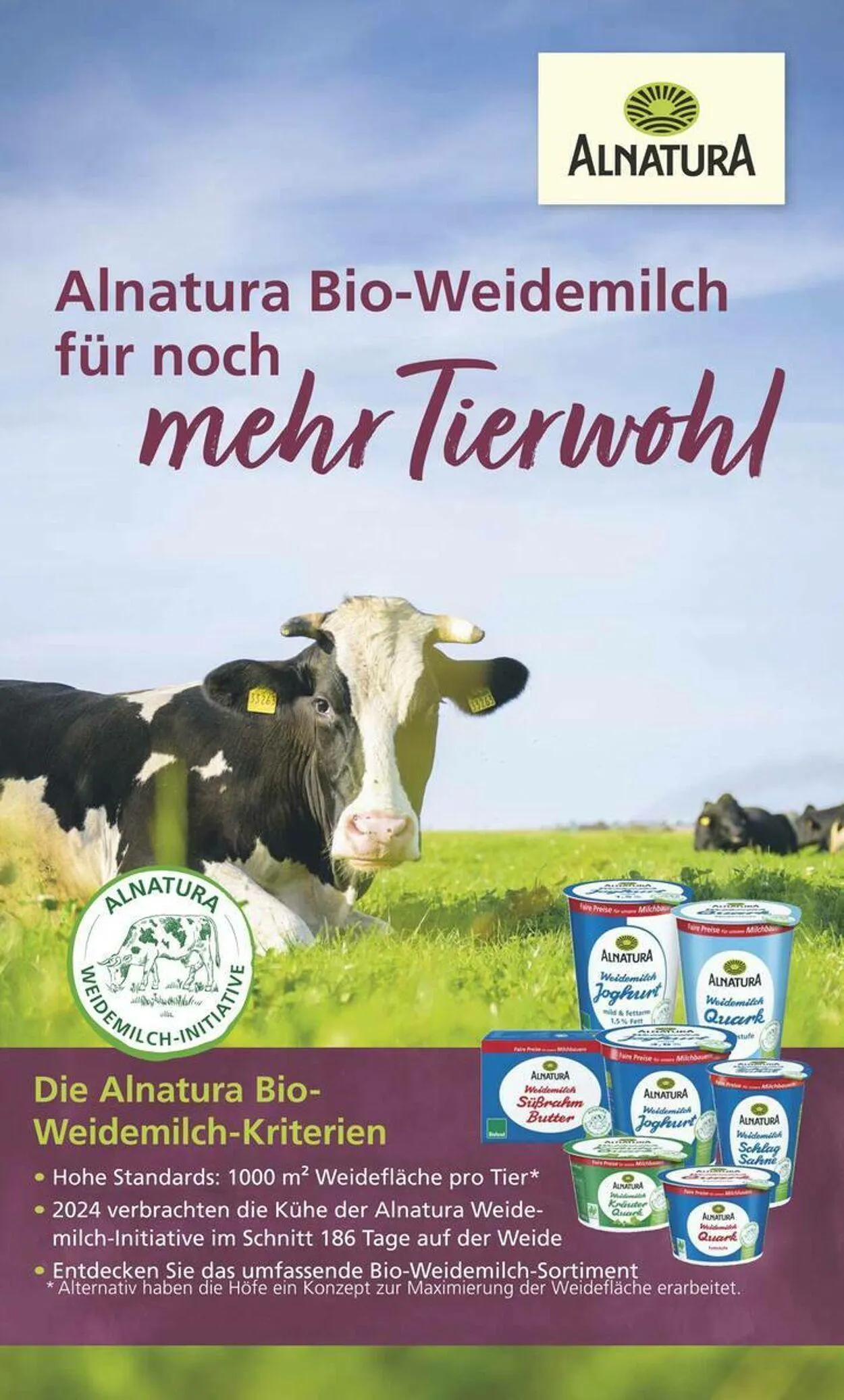 Combi von 22. April bis 26. April 2025 - Prospekt seite 11