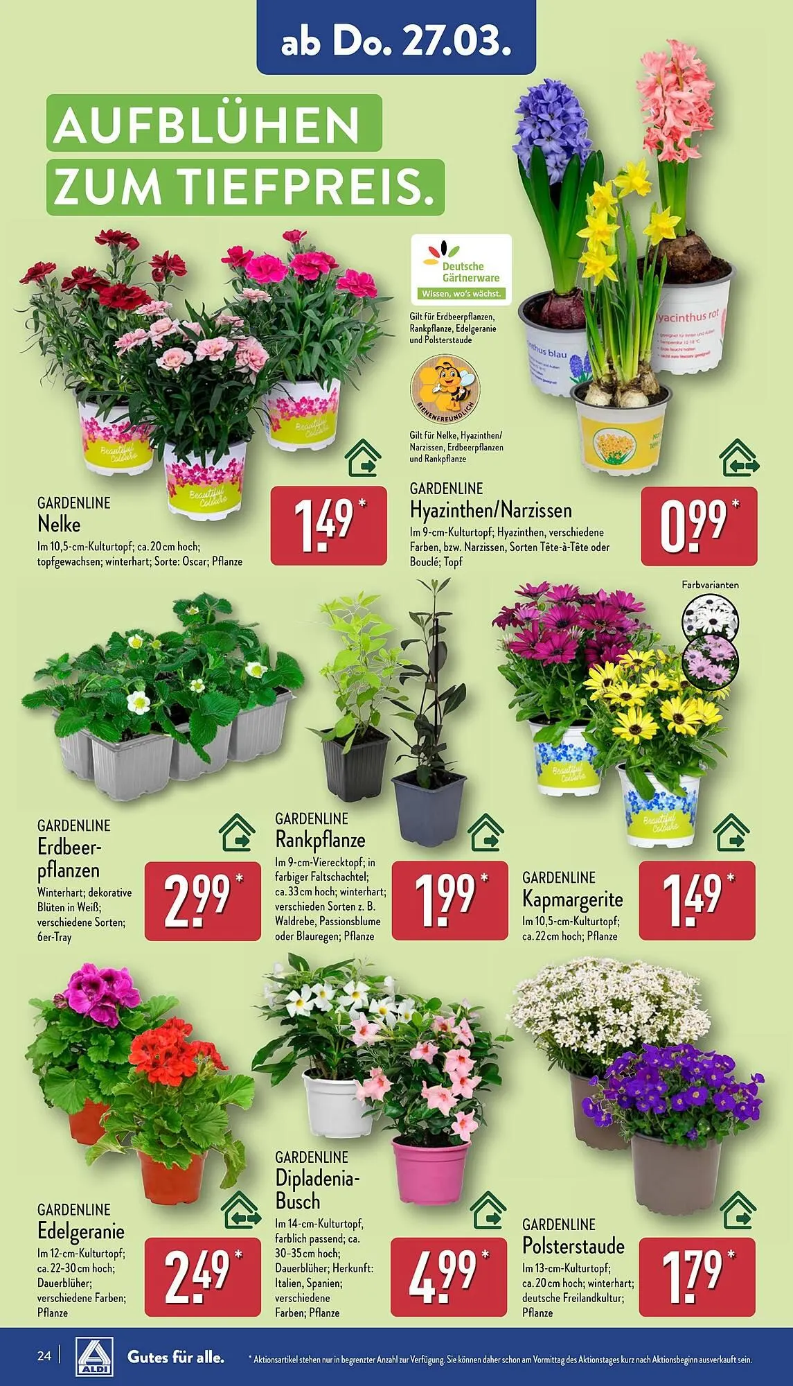 Aldi Nord Prospekt von 24. März bis 29. März 2025 - Prospekt seite 26