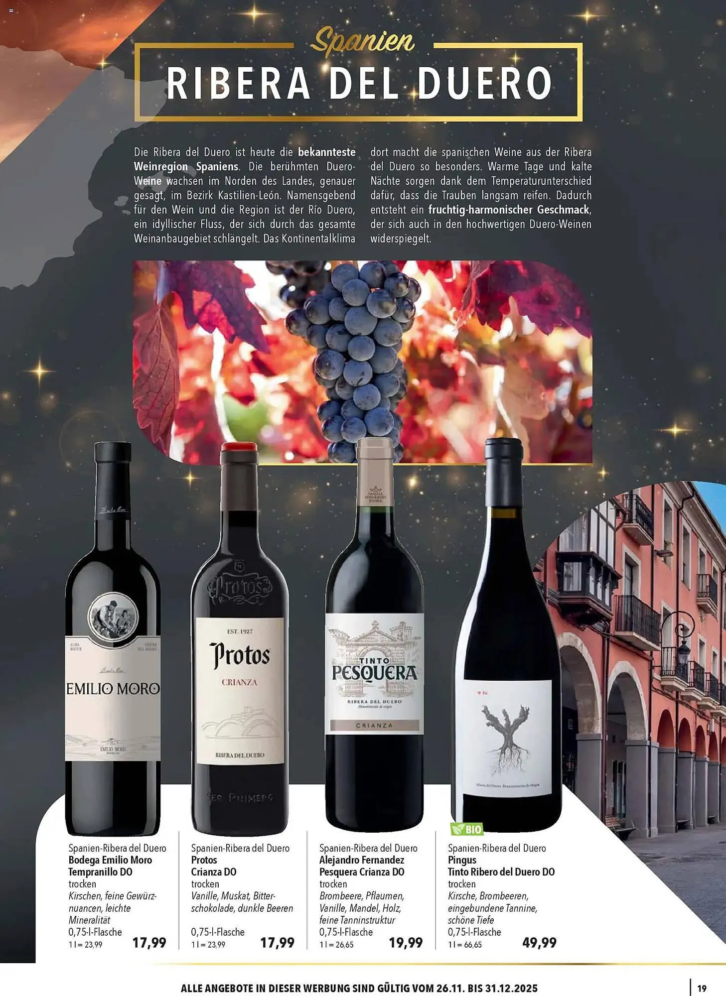 CITTI Markt Prospekt von 26. November bis 31. Dezember 2025 - Prospekt seite 19