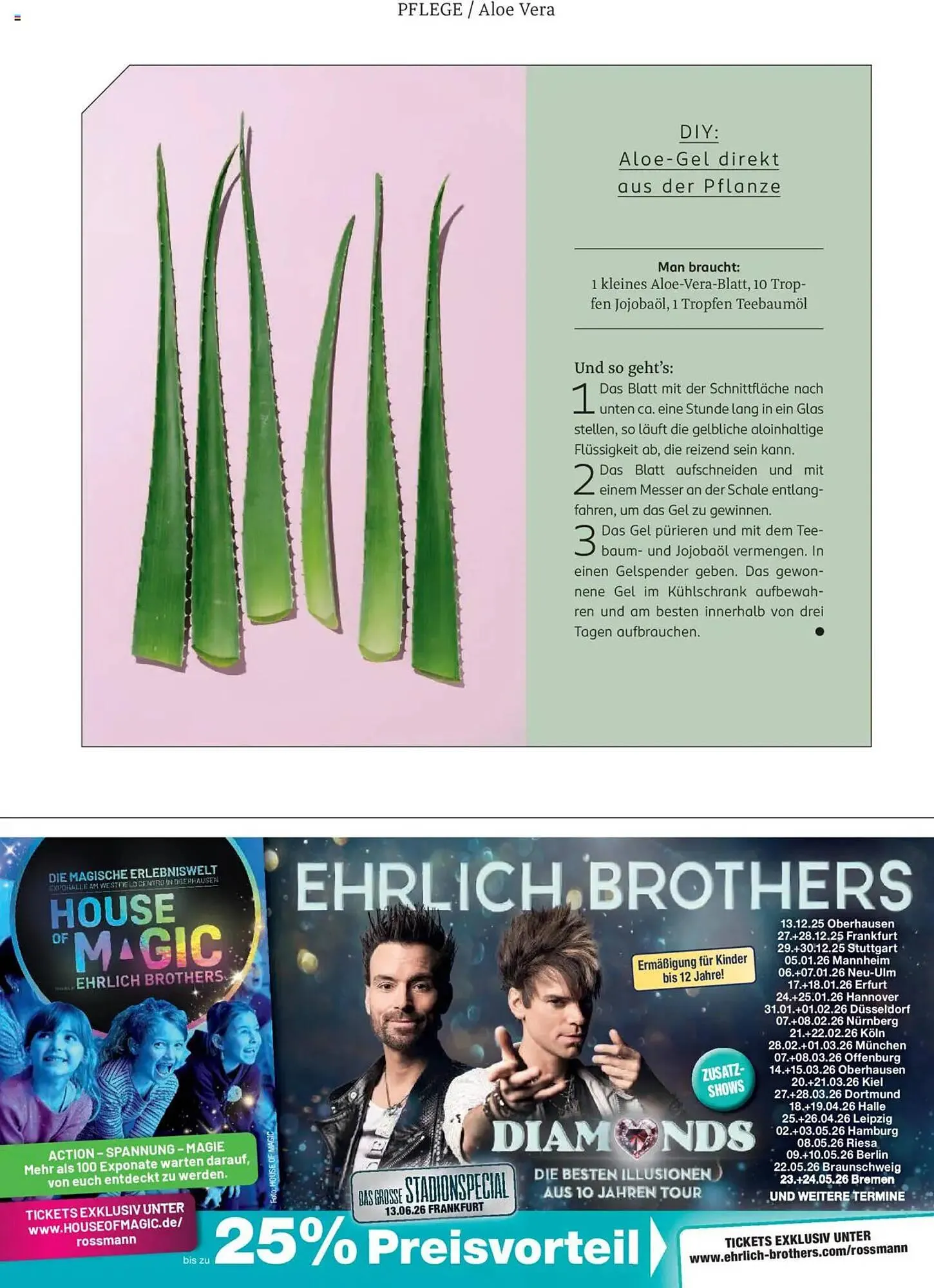 Rossmann Prospekt von 1. August bis 31. August 2025 - Prospekt seite 45