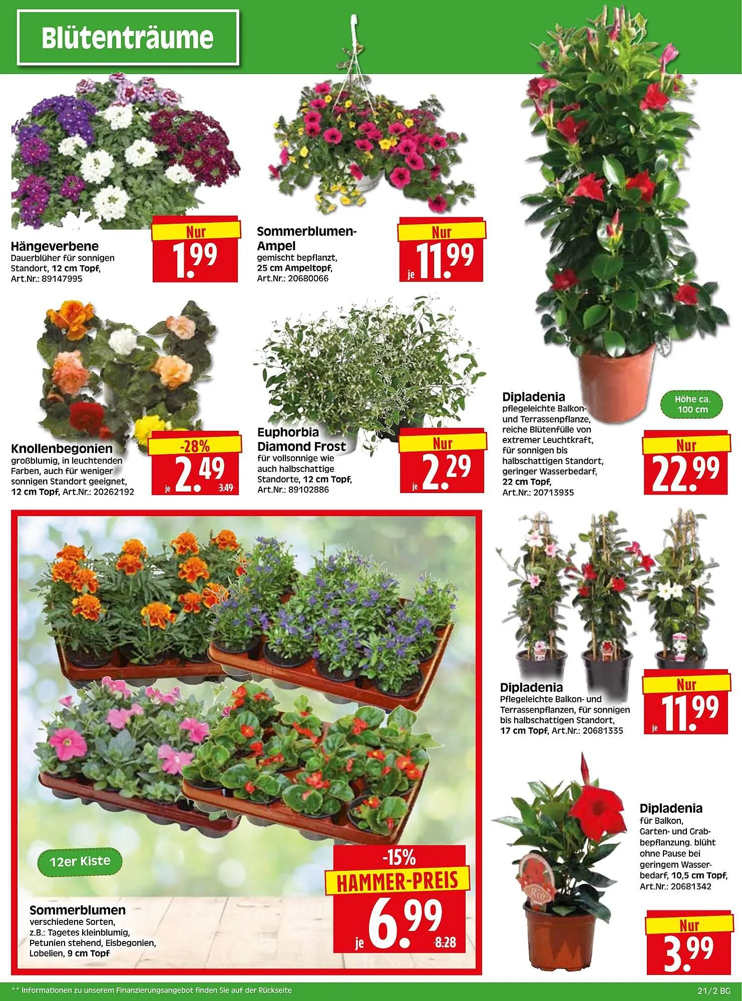 Herkules Baumarkt Prospekt von 19. Mai bis 24. Mai 2025 - Prospekt seite 2