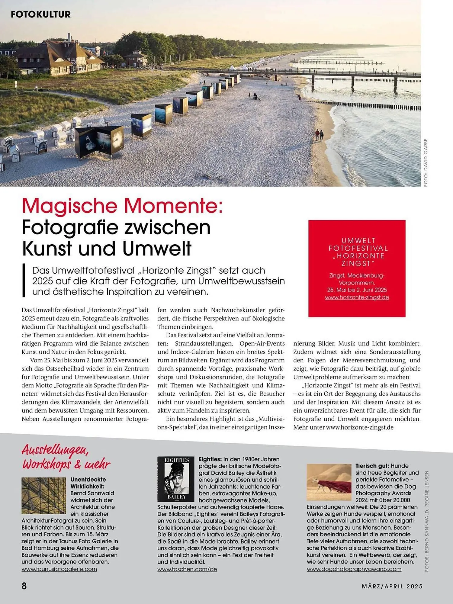 Ringfoto Prospekt von 1. März bis 30. April 2025 - Prospekt seite 8