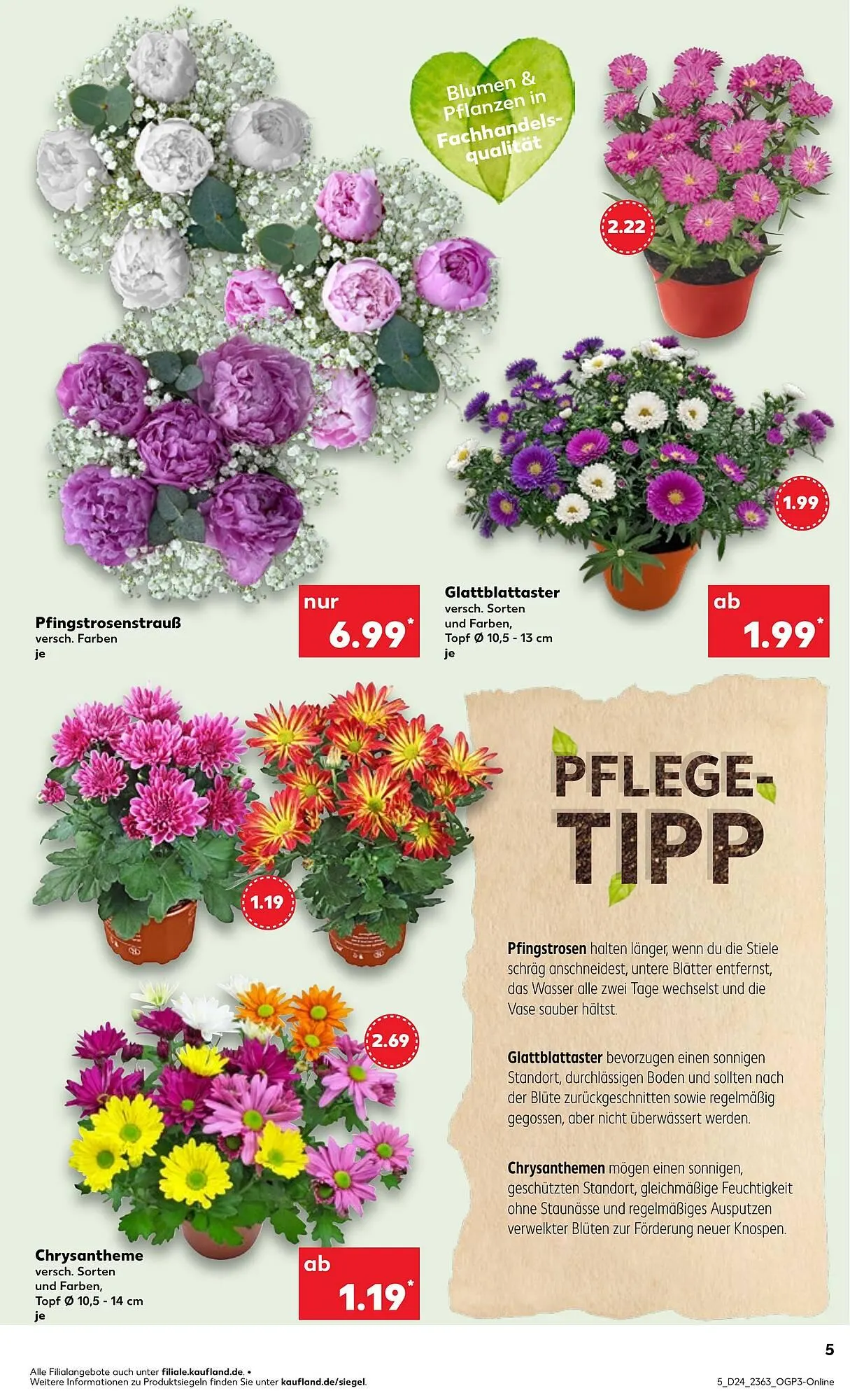 Kaufland Prospekt von 12. Juni bis 18. Juni 2025 - Prospekt seite 5