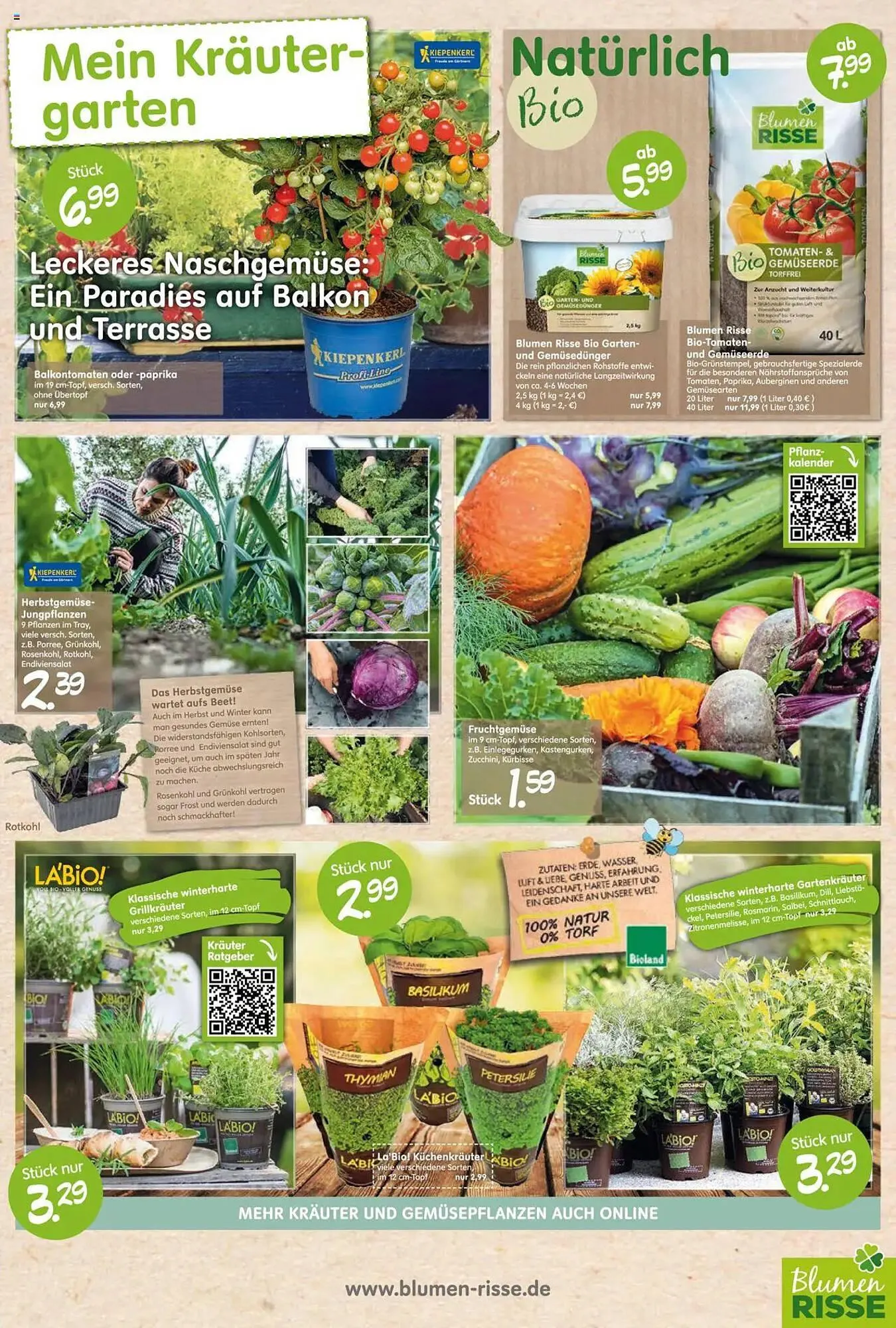 Blumen Risse Prospekt von 28. Mai bis 9. Juni 2025 - Prospekt seite 7