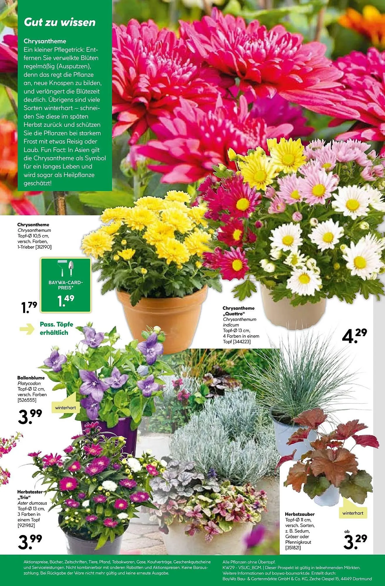 BayWa Prospekt von 14. Juli bis 20. Juli 2025 - Prospekt seite 11