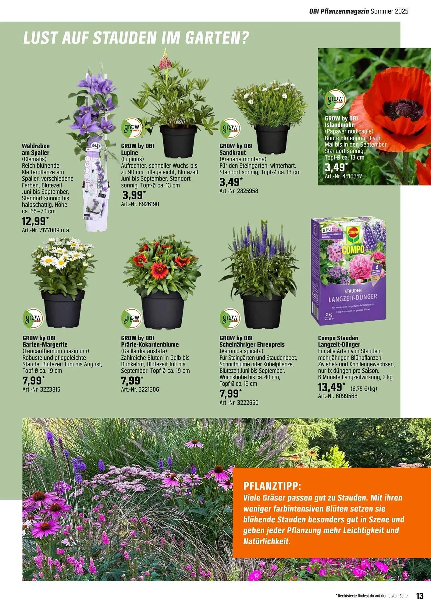 OBI Prospekt von 5. Mai bis 26. Mai 2025 - Prospekt seite 13