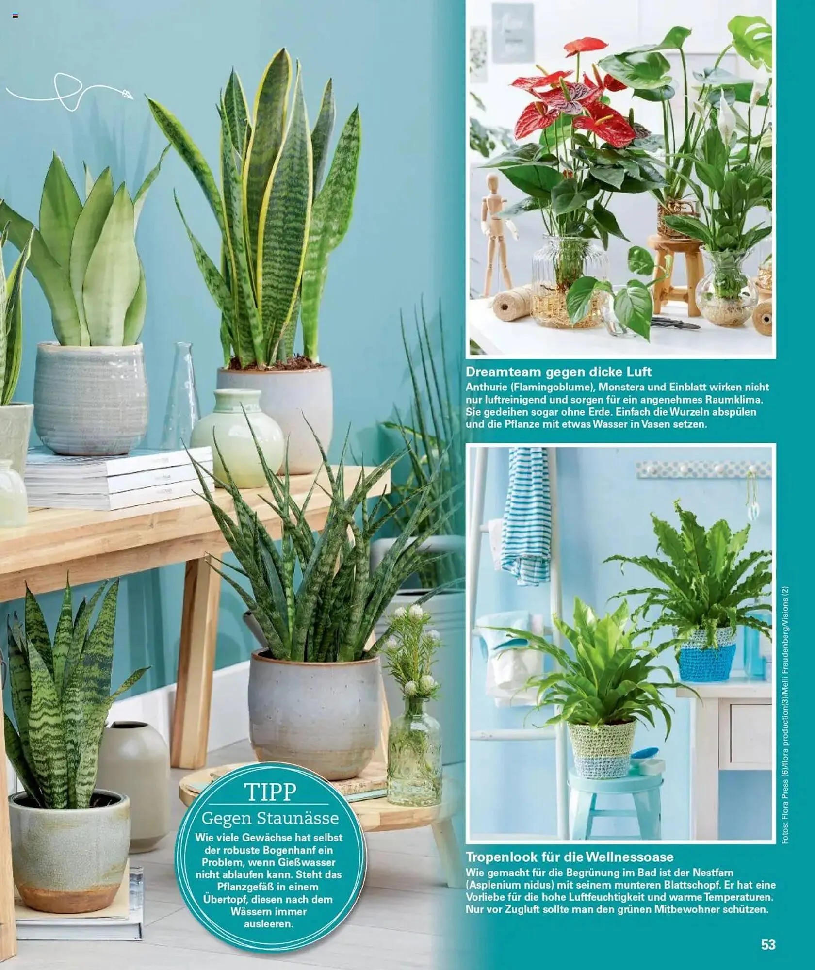 POCO Prospekt von 27. Dezember bis 3. Januar 2026 - Prospekt seite 53