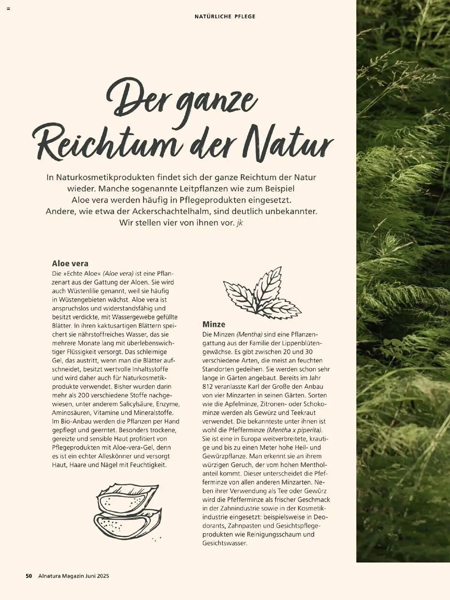 Alnatura Prospekt von 1. Juni bis 30. Juni 2025 - Prospekt seite 50
