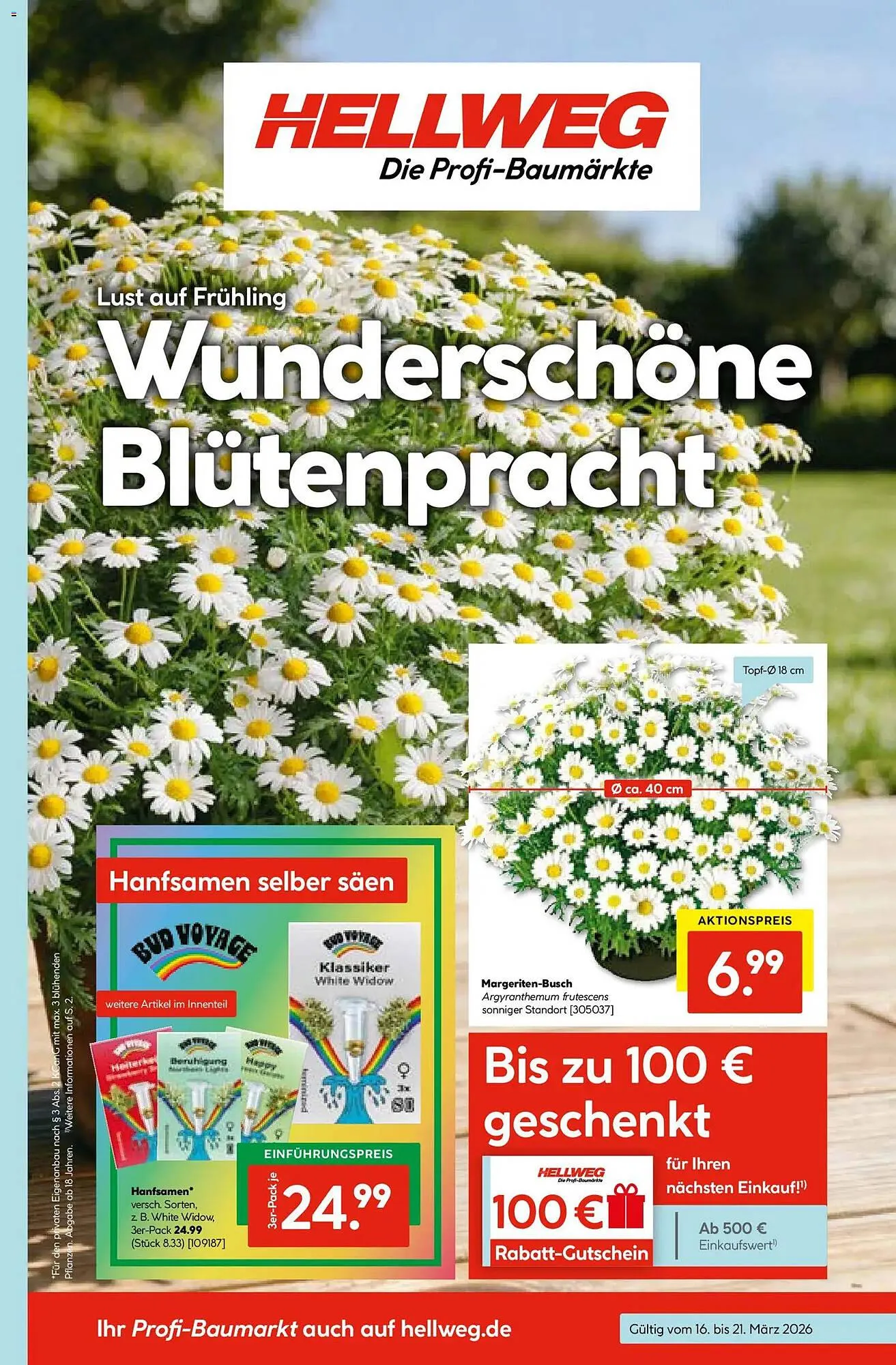 Hellweg Prospekt von 16. März bis 21. März 2026 - Prospekt seite 3