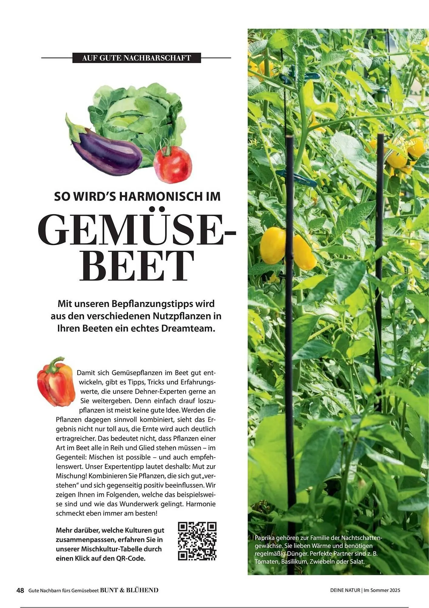 Dehner Prospekt von 1. Juli bis 31. Dezember 2025 - Prospekt seite 48