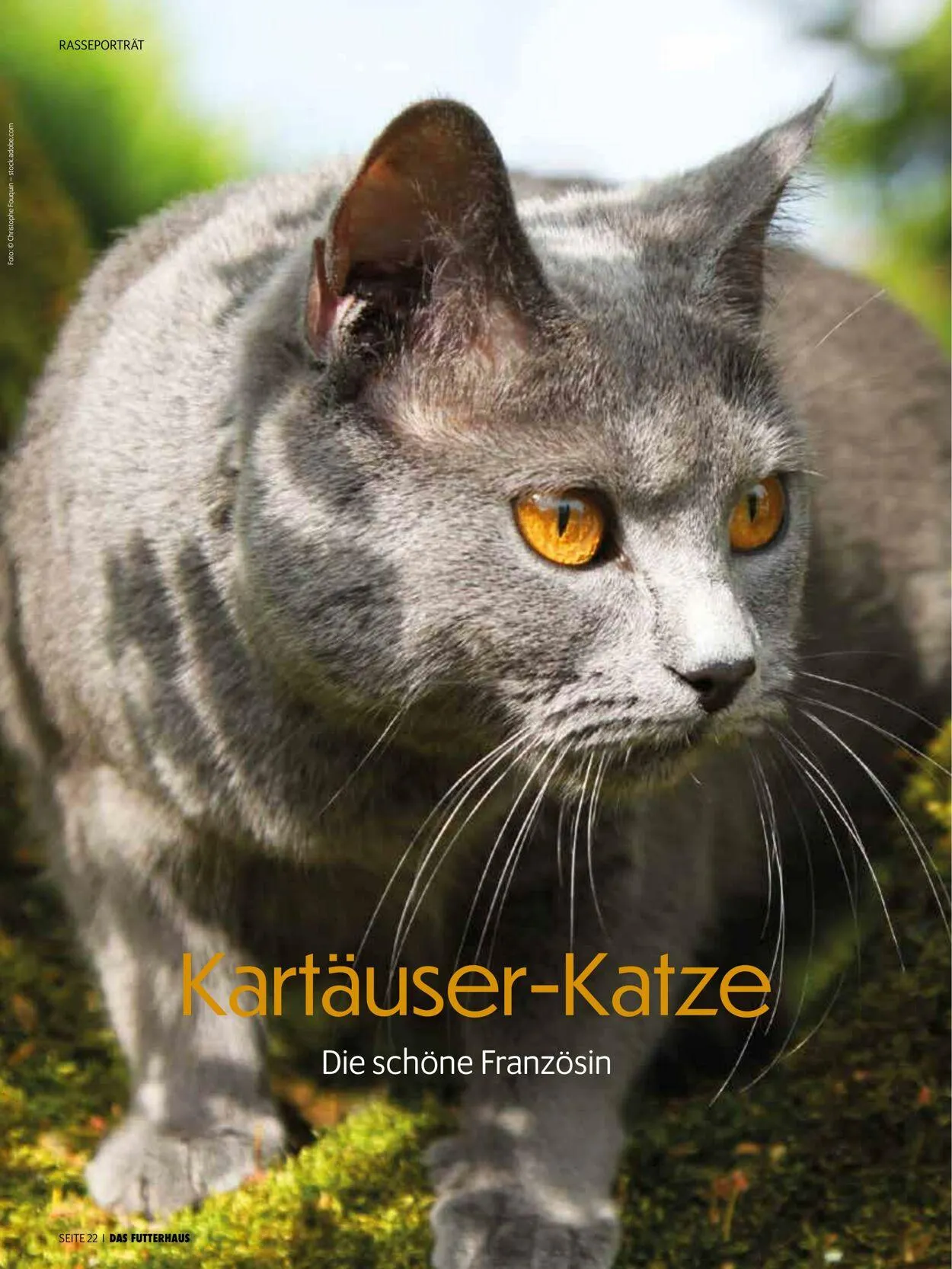 Futterhaus Aktueller Prospekt von 1. Juni bis 30. Juni 2025 - Prospekt seite 22