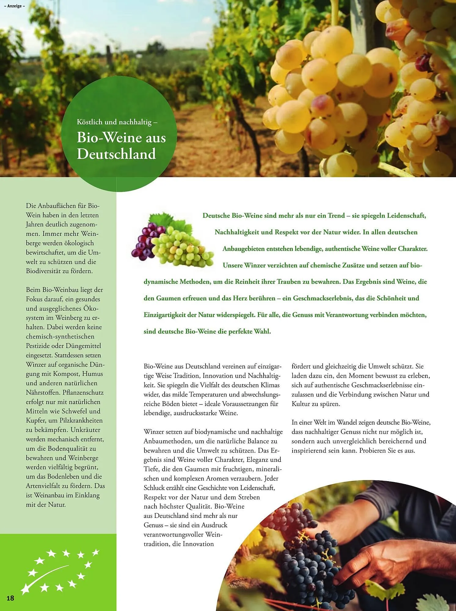 basic Prospekt von 12. Juni bis 14. Juni 2025 - Prospekt seite 20