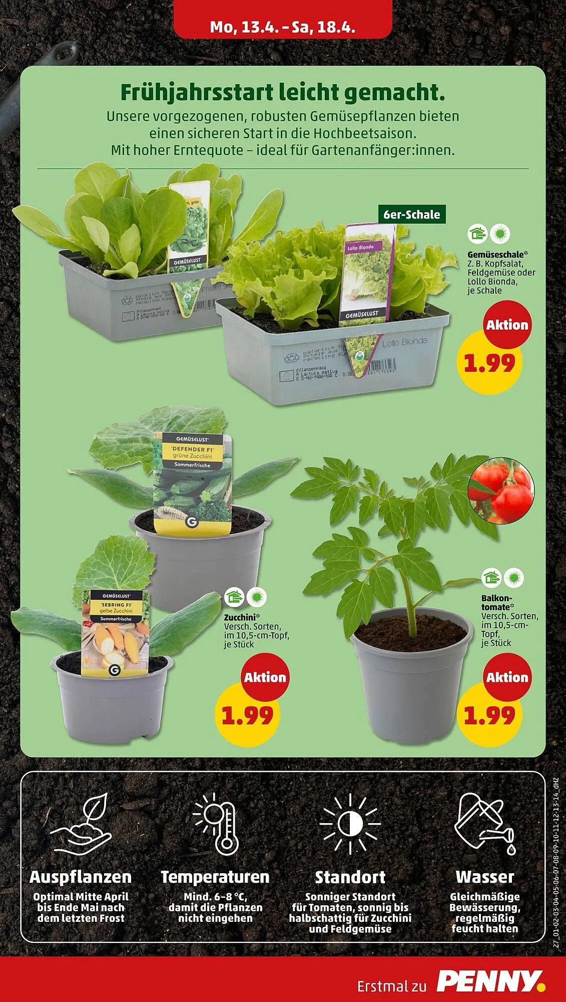 PENNY Prospekt von 13. April bis 18. April 2026 - Prospekt seite 31