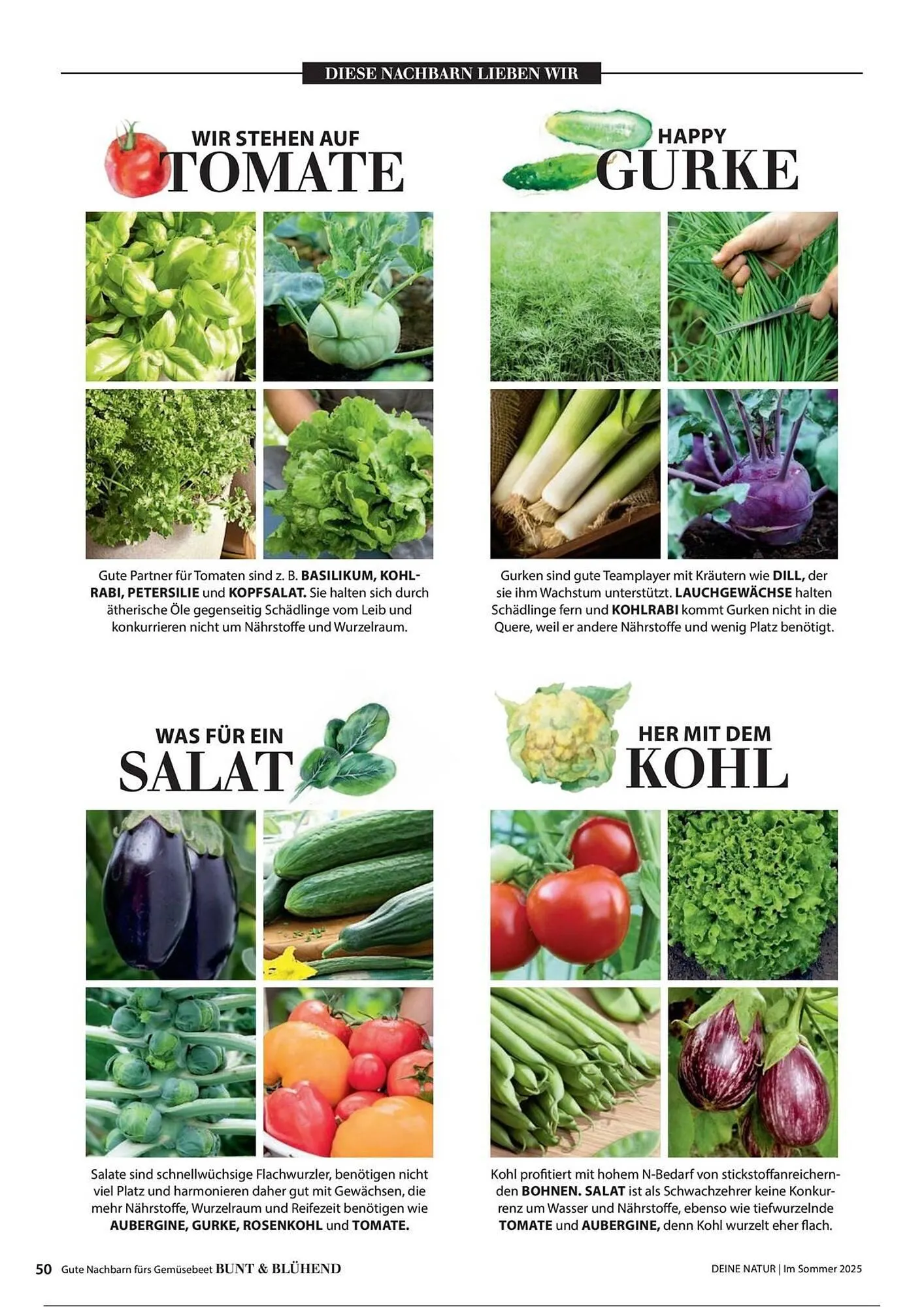 Dehner Prospekt von 1. Juli bis 31. Dezember 2025 - Prospekt seite 50