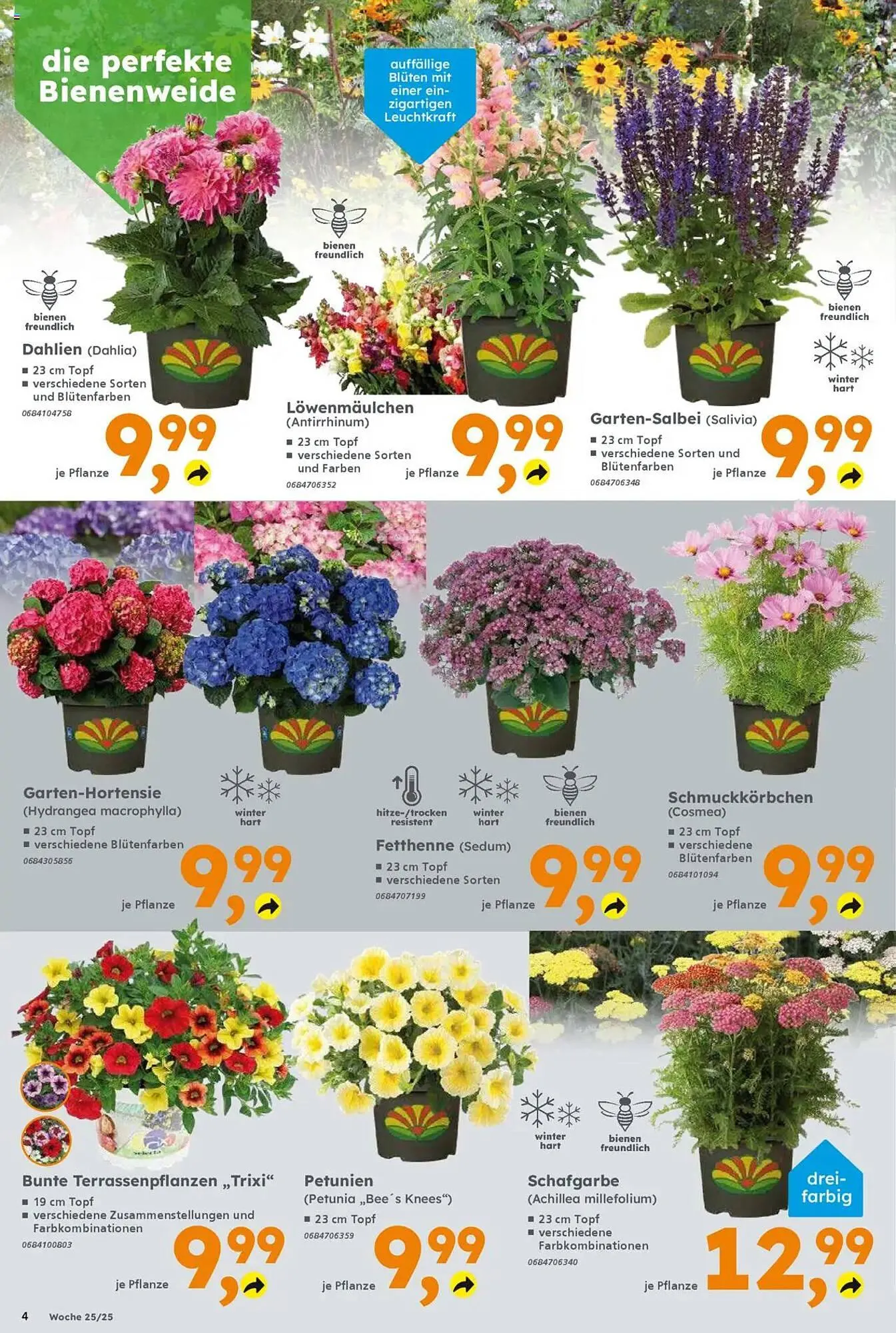 Globus Baumarkt Prospekt von 16. Juni bis 21. Juni 2025 - Prospekt seite 4