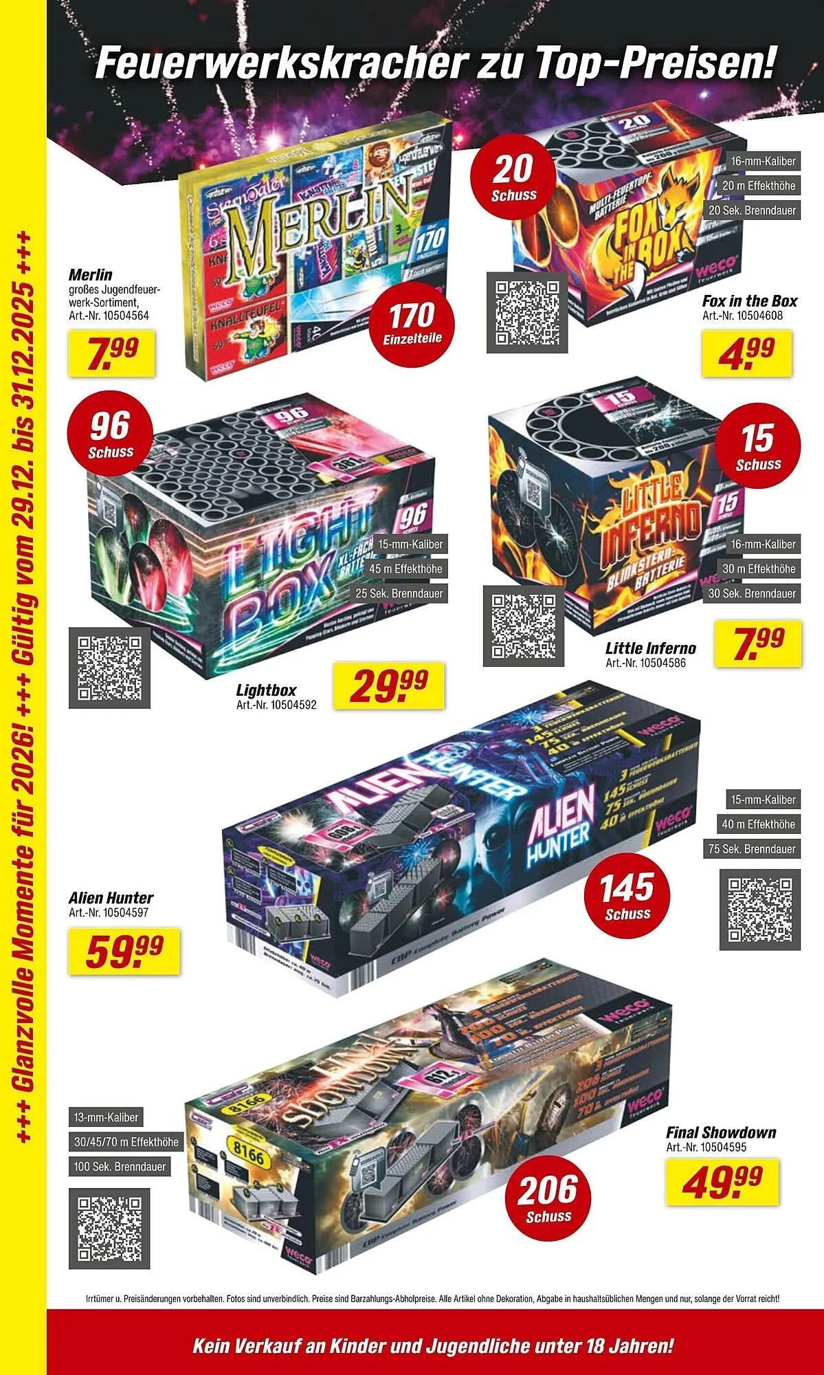 Toom Baumarkt Prospekt von 29. Dezember bis 31. Dezember 2025 - Prospekt seite 2