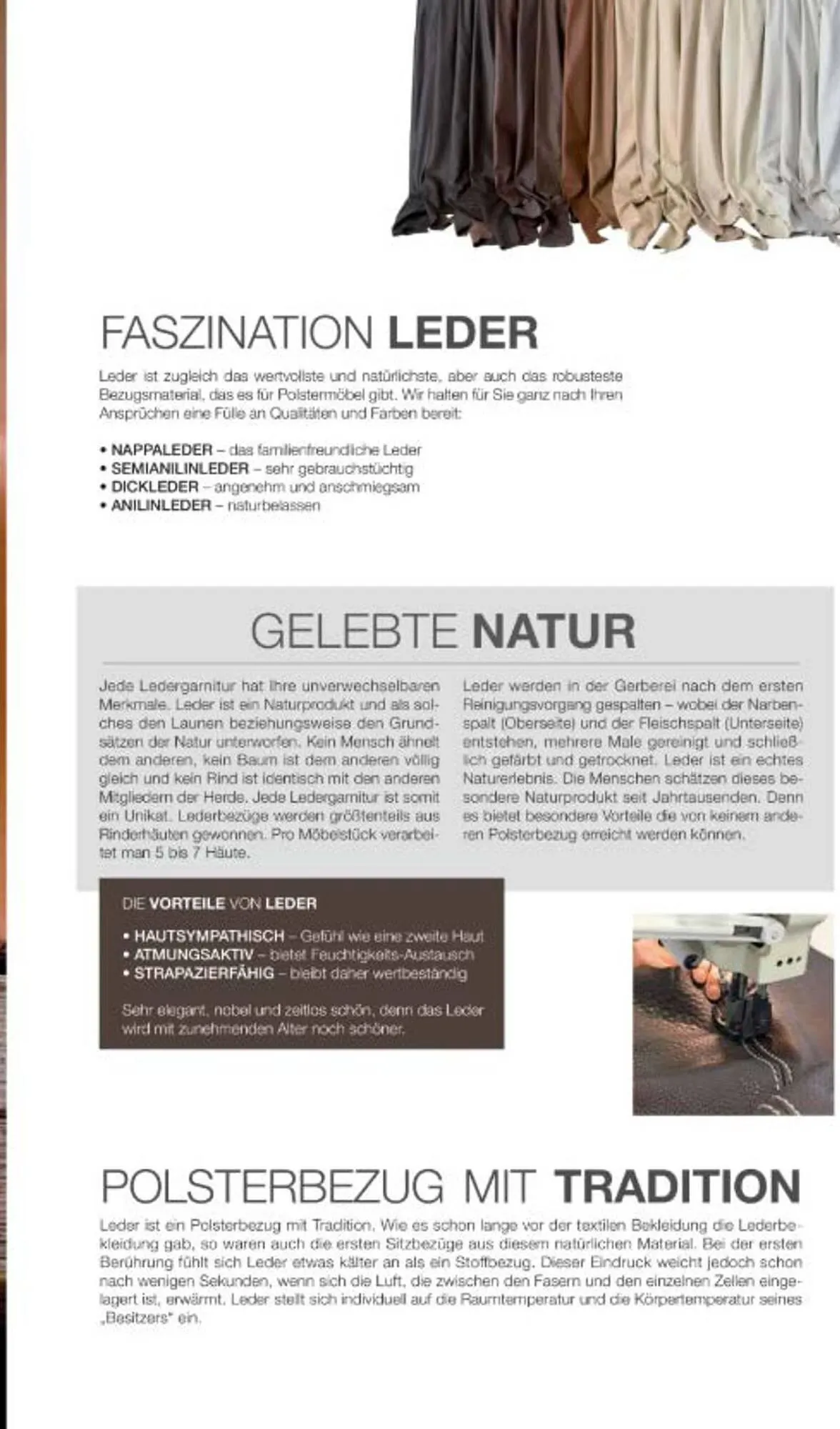 Multipolster Prospekt von 11. Februar bis 24. Februar 2026 - Prospekt seite 5