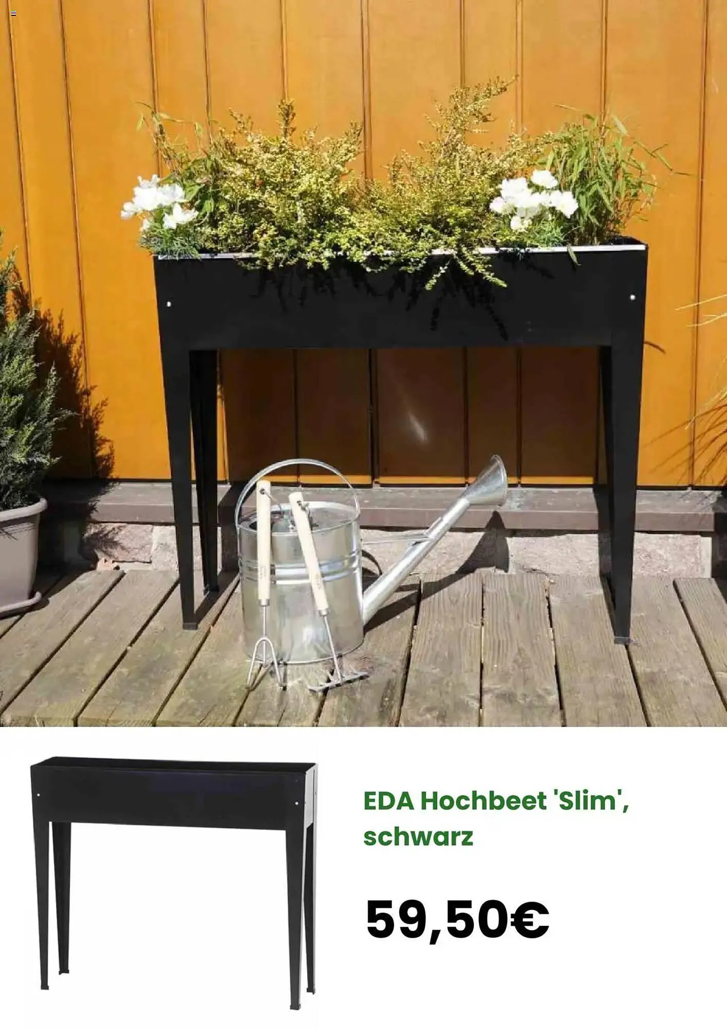 Blumen Risse Prospekt von 25. Februar bis 27. März 2025 - Prospekt seite 10