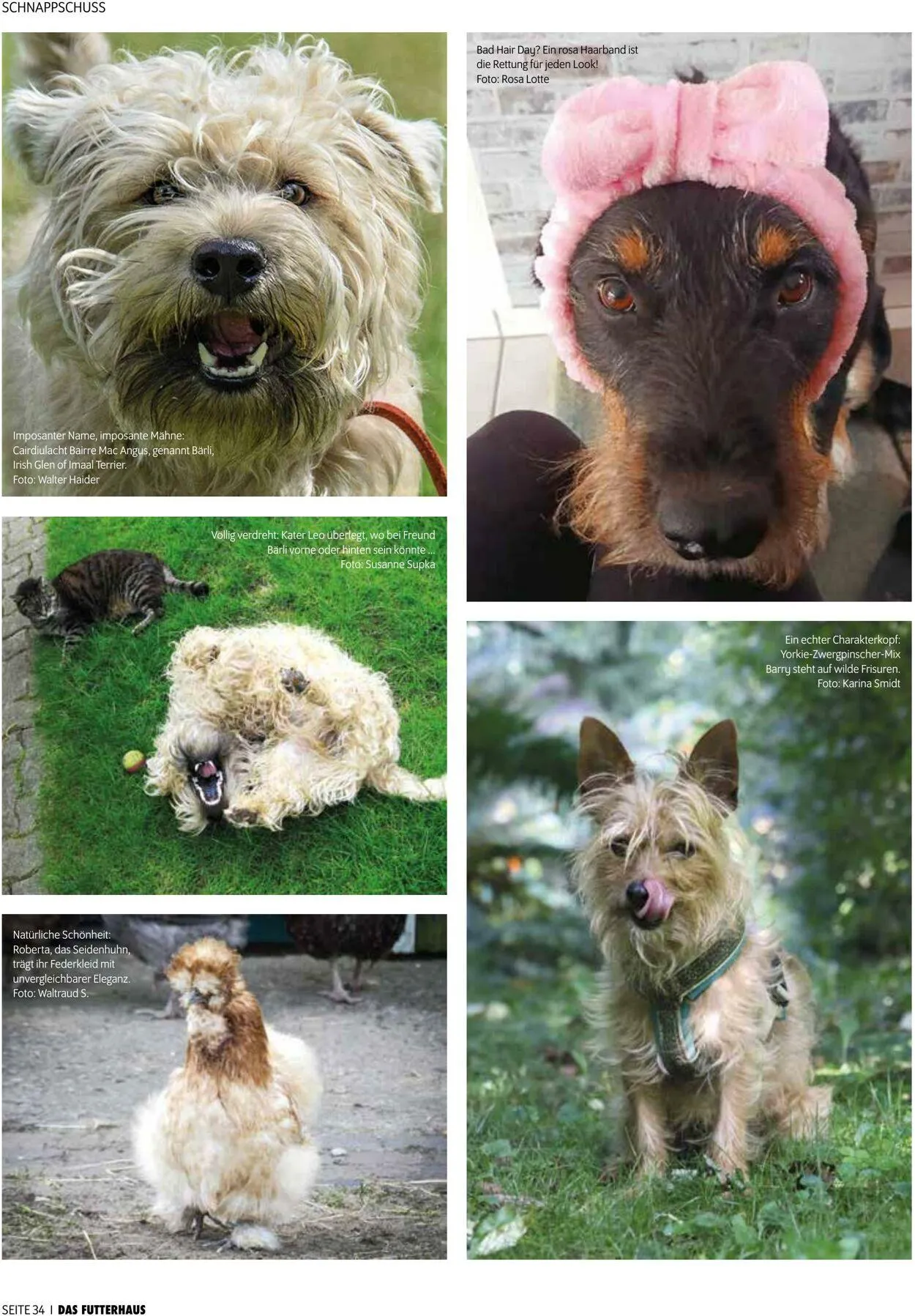 Futterhaus Aktueller Prospekt von 1. Dezember bis 31. Dezember 2025 - Prospekt seite 34