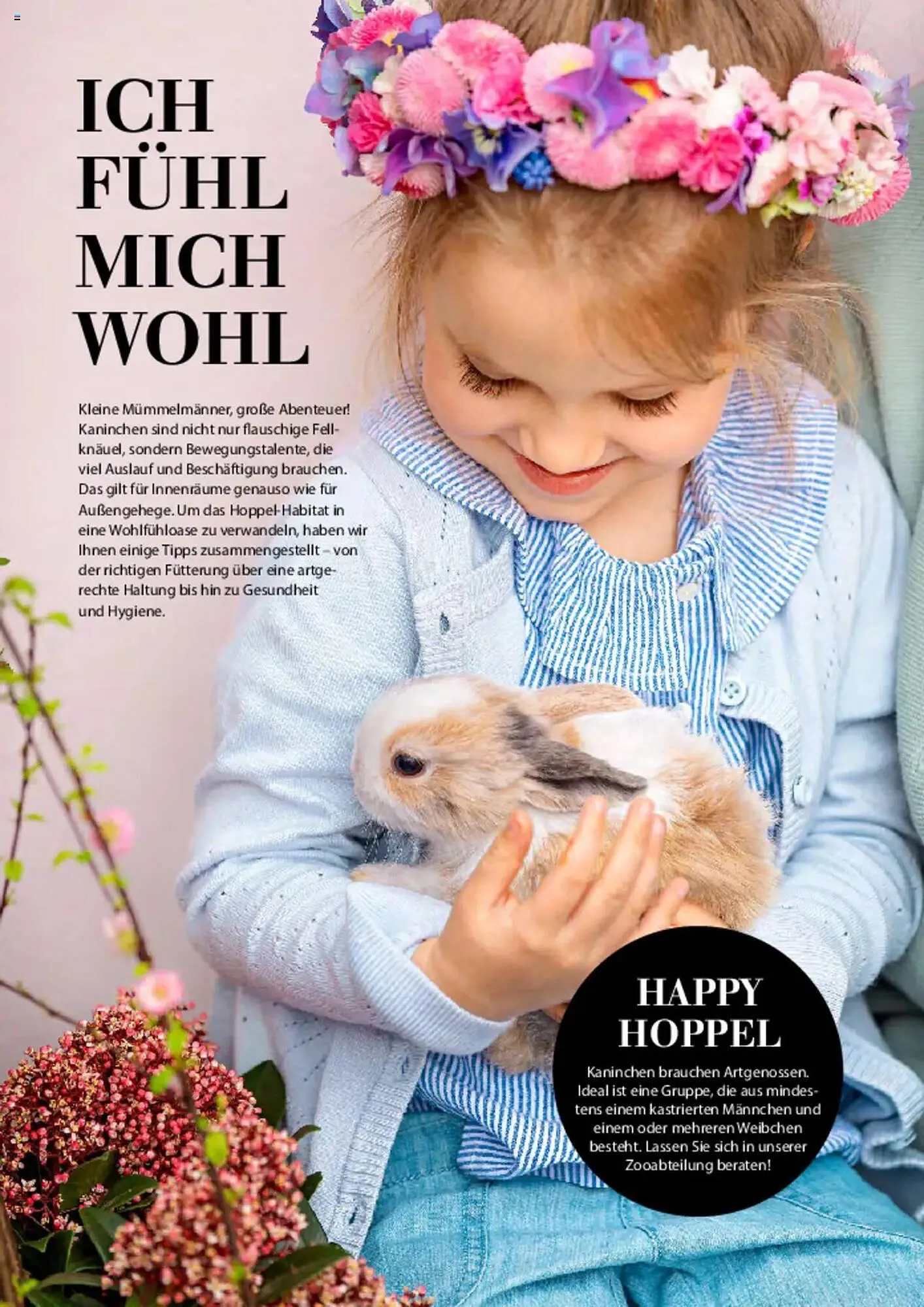 Dehner Prospekt von 6. März bis 9. Juni 2025 - Prospekt seite 94