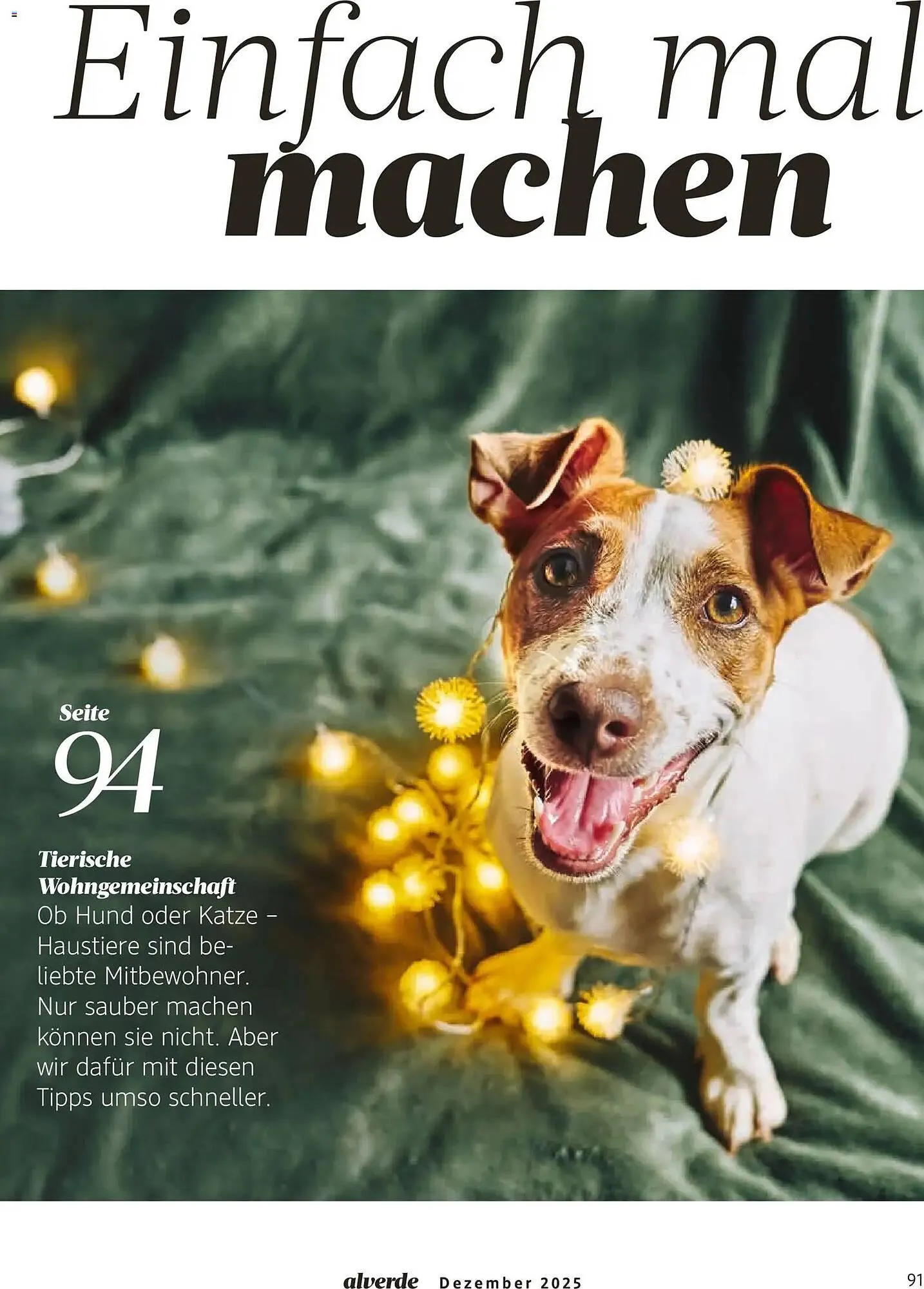Dm drogerie Magazin von 1. Januar bis 31. Januar 2026 - Prospekt seite 91