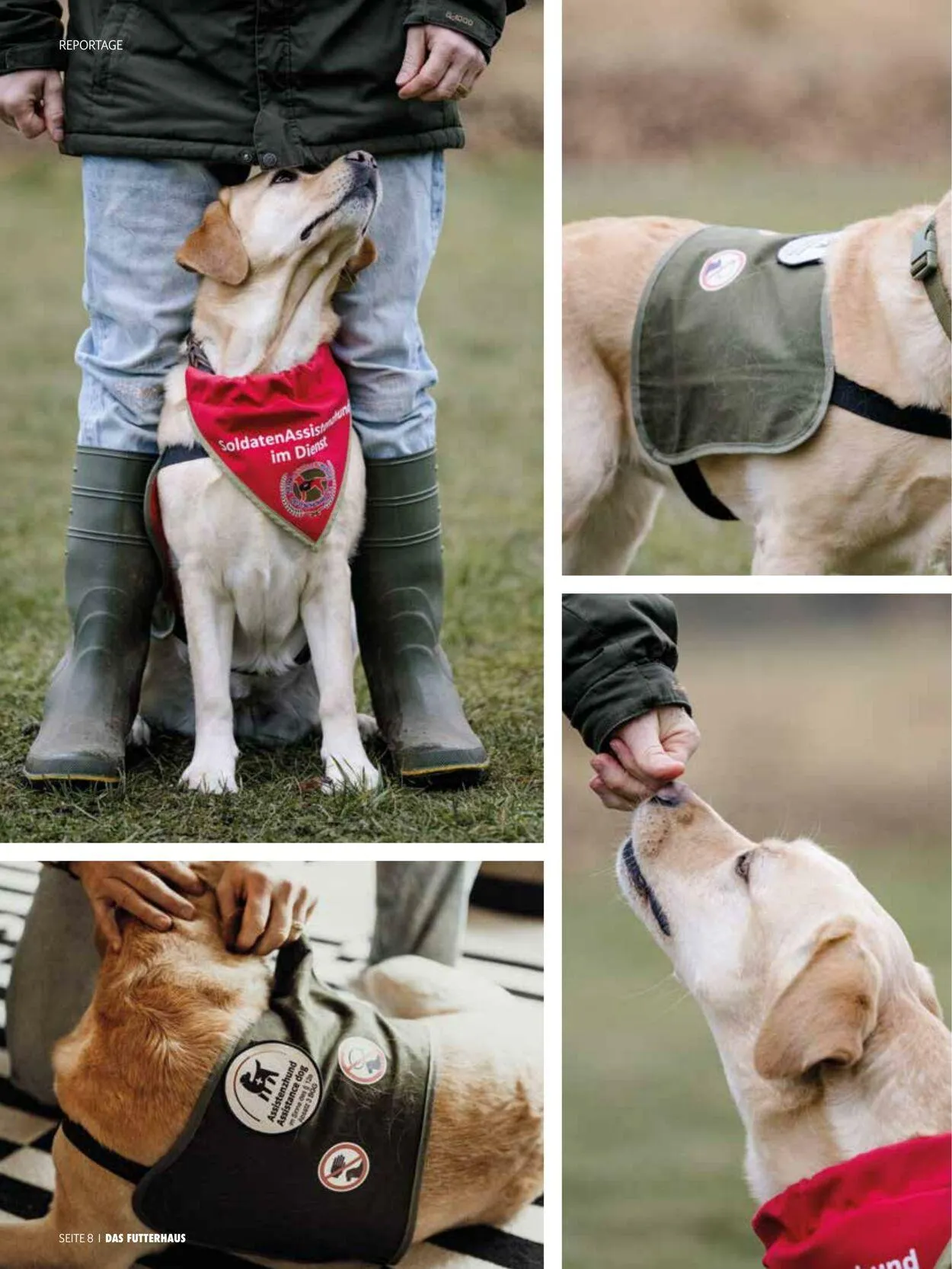 Futterhaus Aktueller Prospekt von 1. Mai bis 31. Mai 2025 - Prospekt seite 8