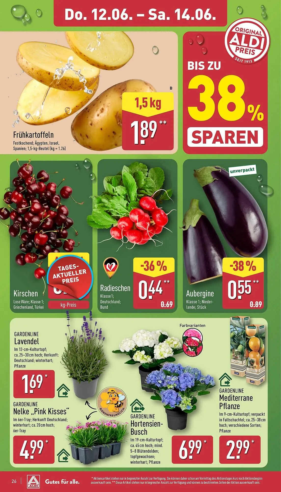 Aldi Nord Prospekt von 10. Juni bis 14. Juni 2025 - Prospekt seite 26