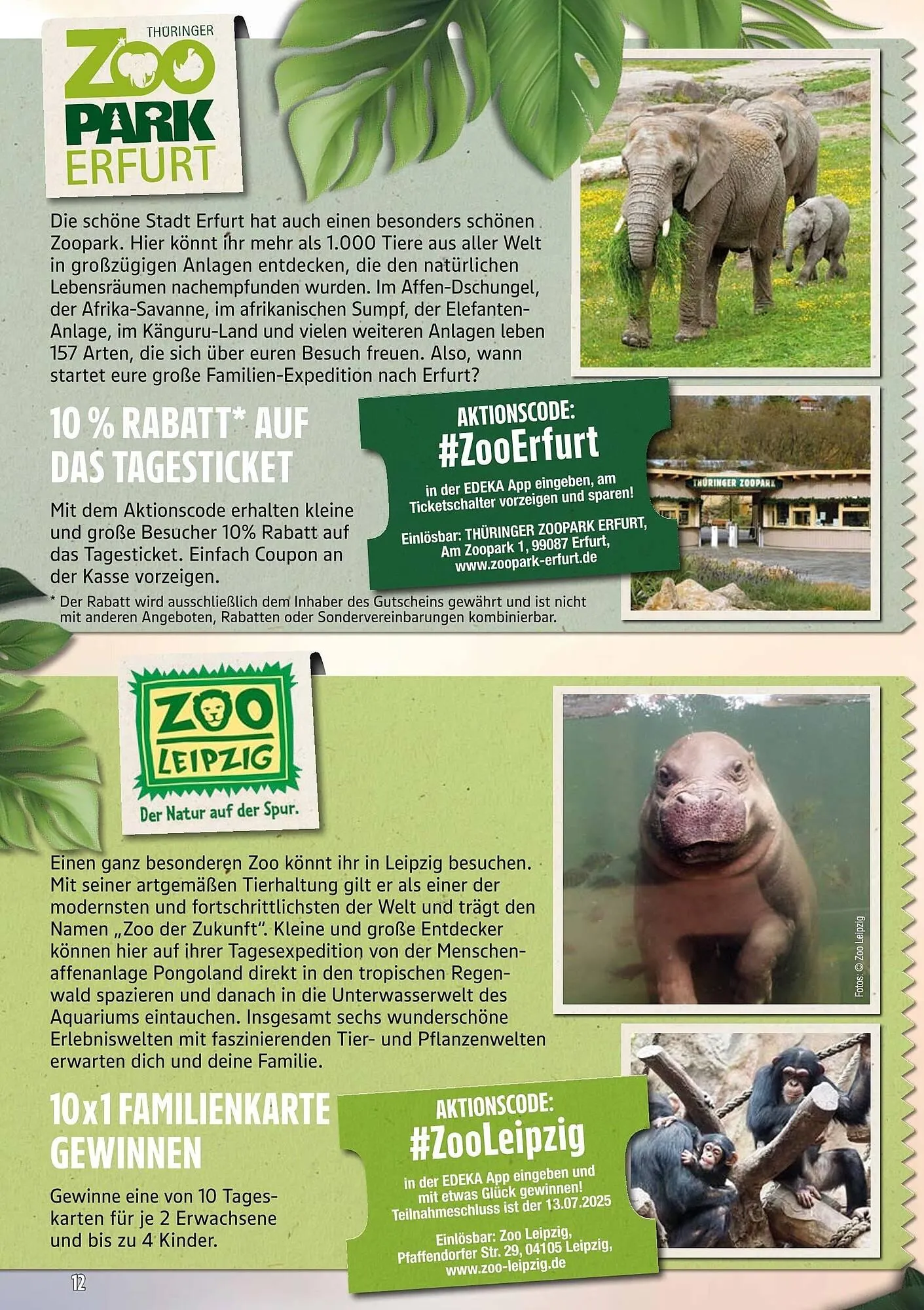 Edeka Prospekt von 23. Juni bis 30. September 2025 - Prospekt seite 12