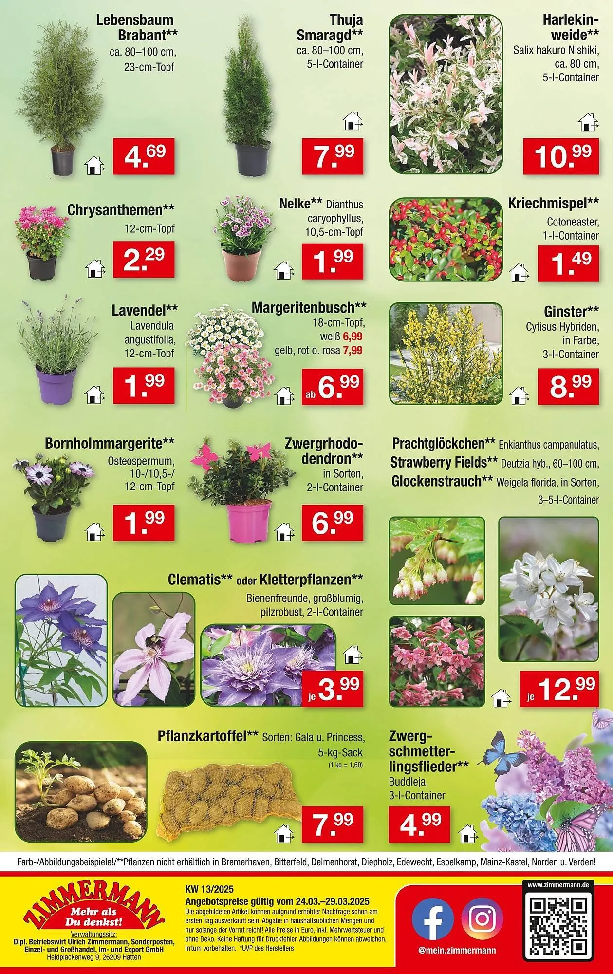 Zimmermann Prospekt von 24. März bis 29. März 2025 - Prospekt seite 10