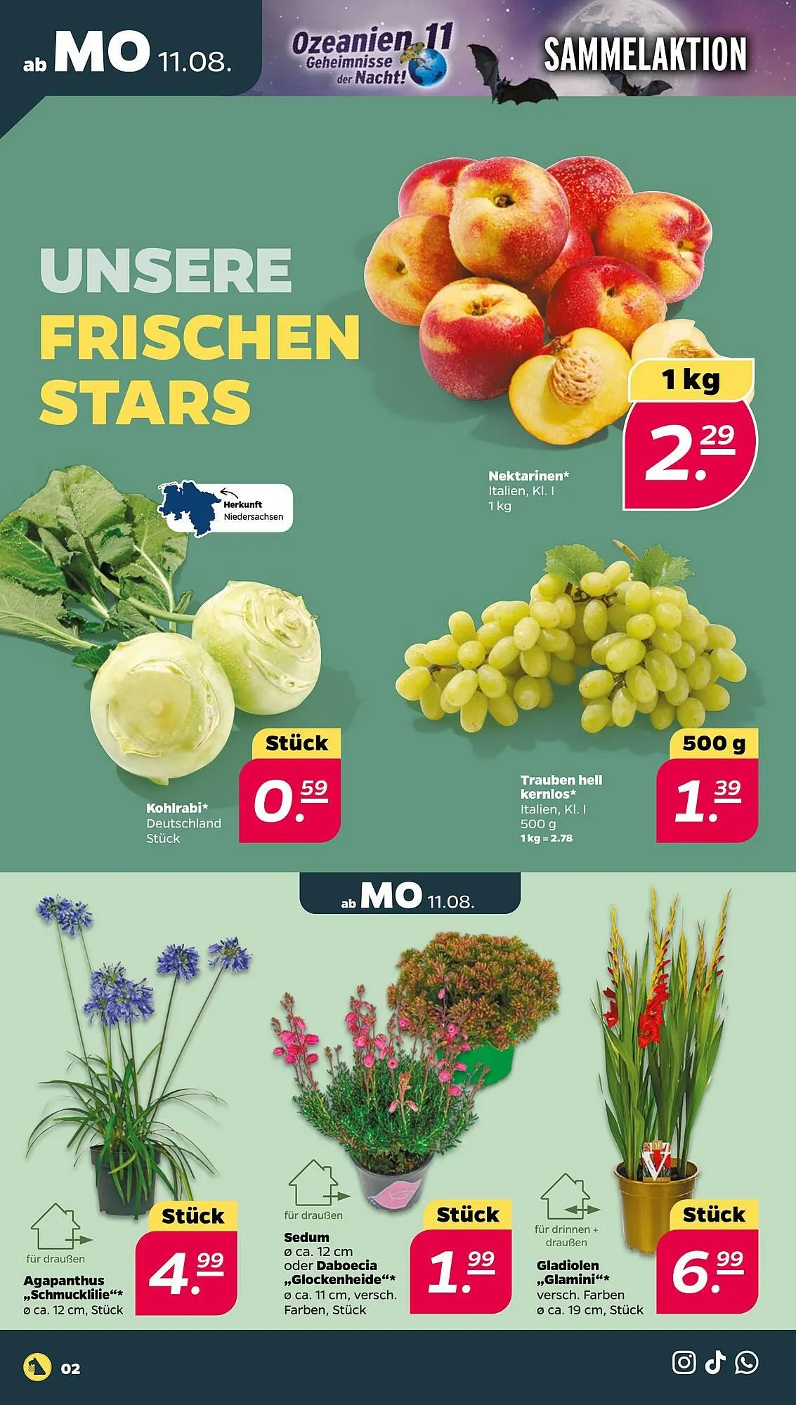 NETTO Prospekt von 11. August bis 16. August 2025 - Prospekt seite 2