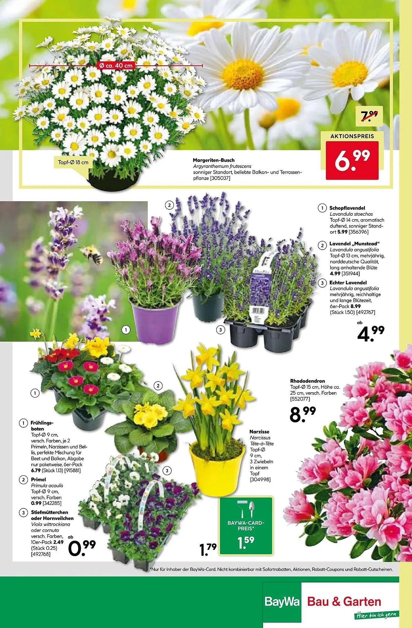 BayWa Prospekt von 9. März bis 15. März 2026 - Prospekt seite 16