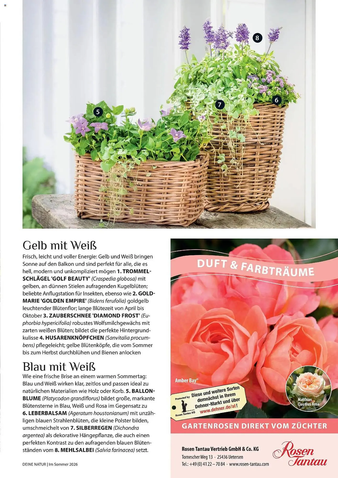 Dehner Prospekt von 17. April bis 31. August 2026 - Prospekt seite 23